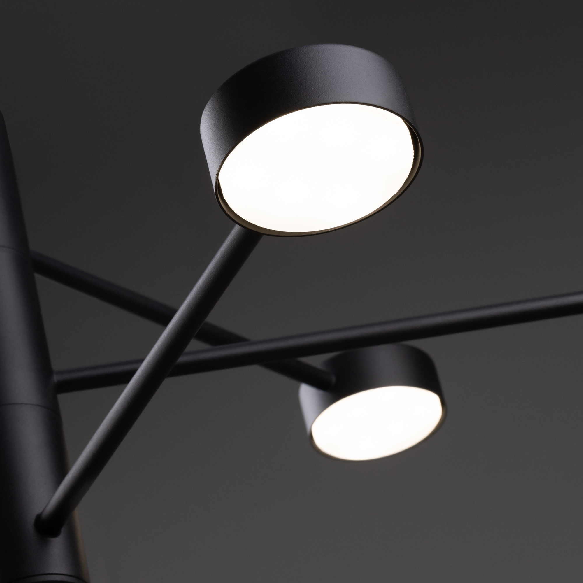 картинка Потолочный светильник Freya FR5363CL-06B