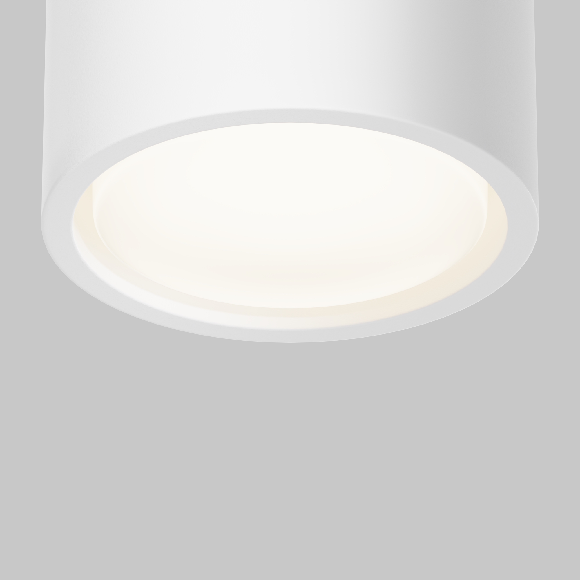 картинка Потолочный светильник Technical C001CL-GX53-W