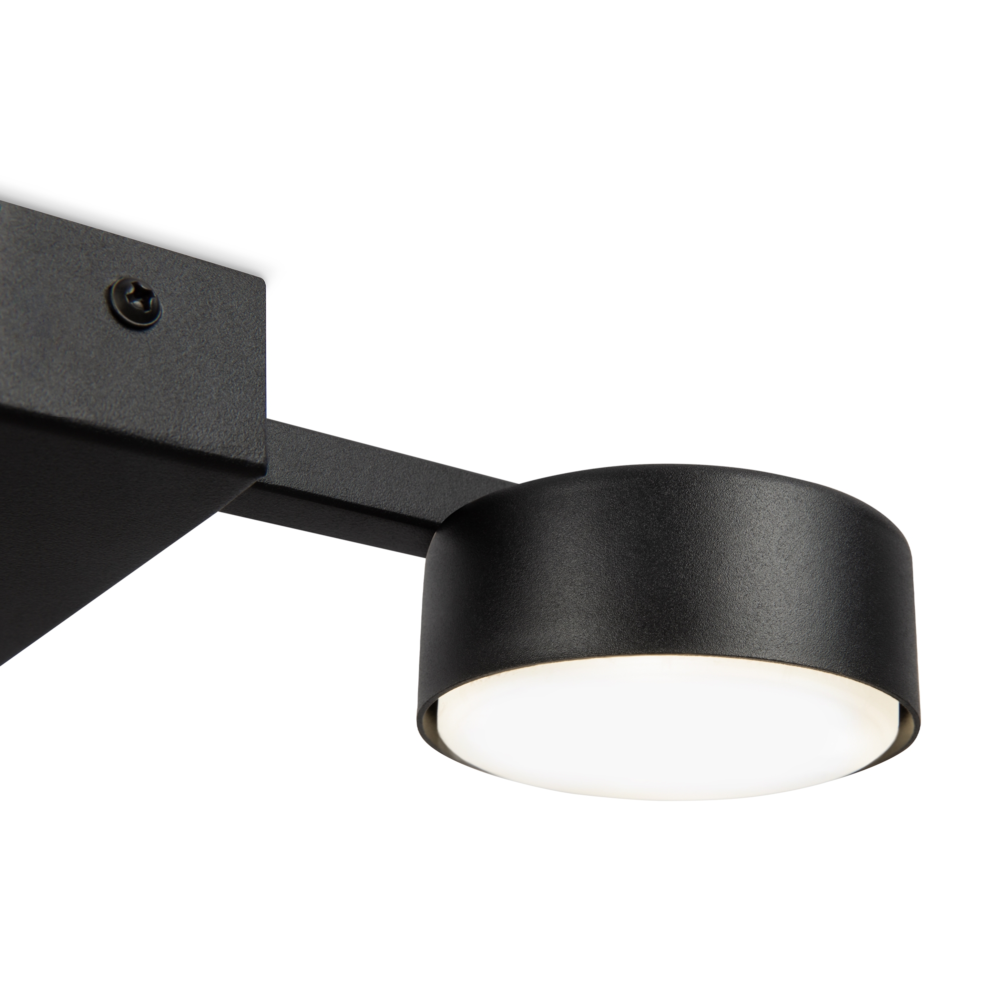 картинка Потолочный светильник Freya FR5363CL-02B