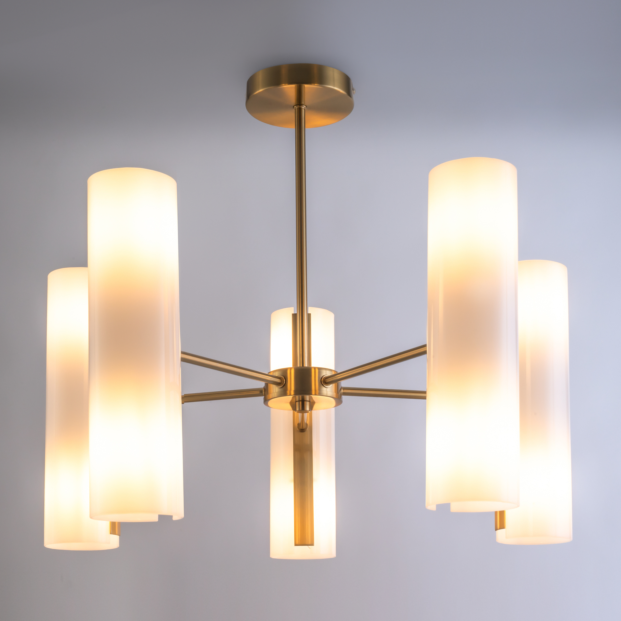 картинка Потолочный светильник Freya FR5368CL-10BS