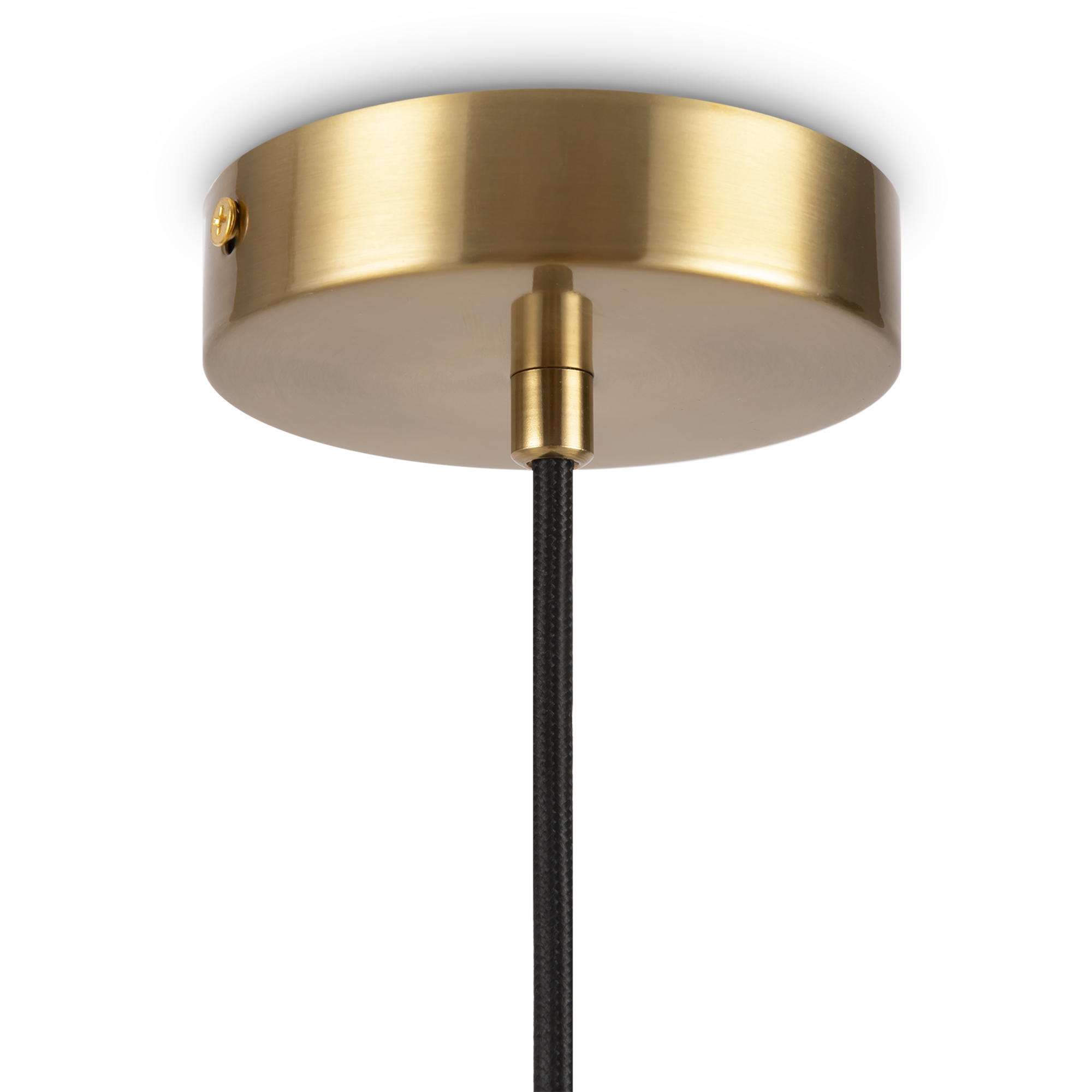 картинка Подвесной светильник Freya FR5124PL-01BS