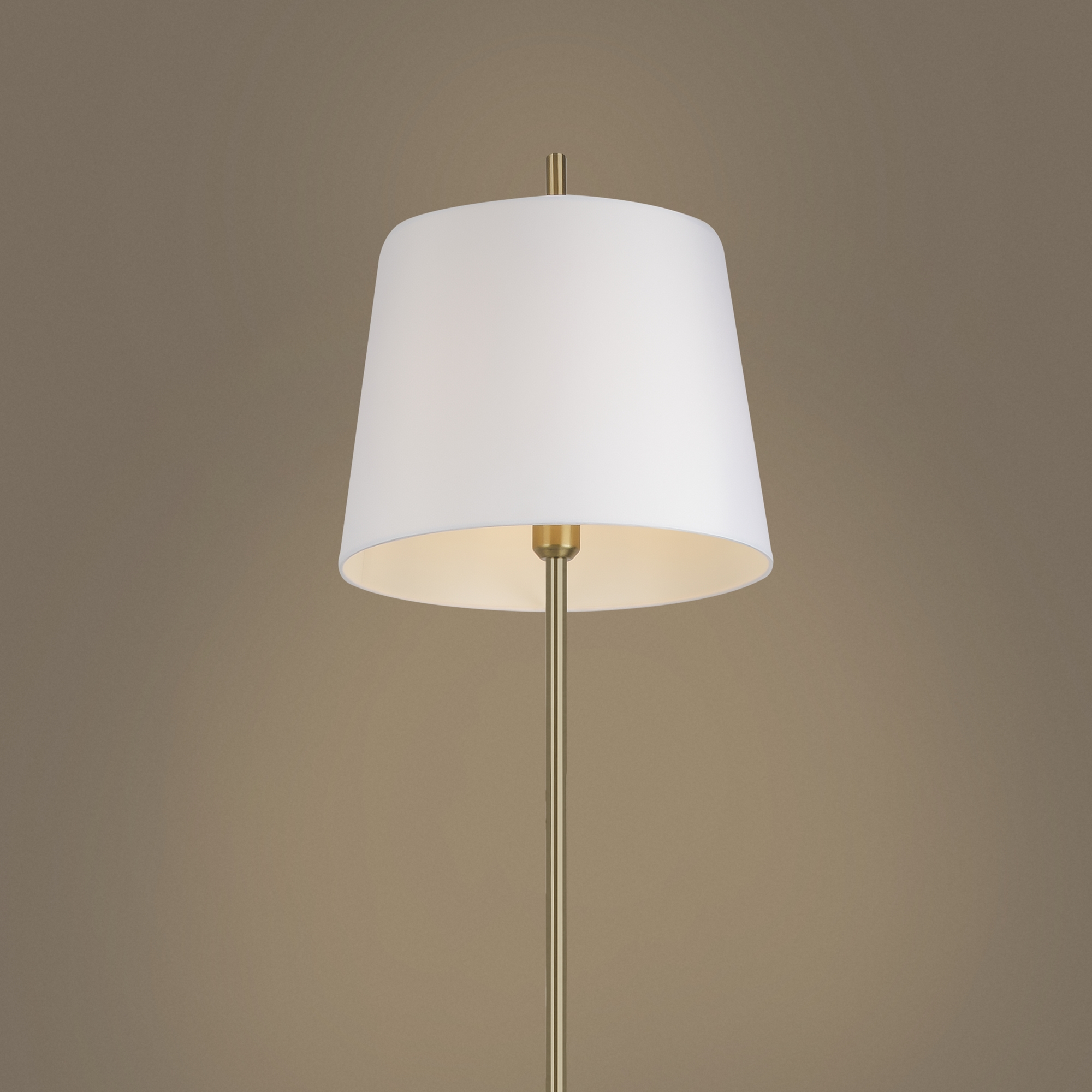 картинка Напольный светильник (торшер) Freya FR5118FL-01BS