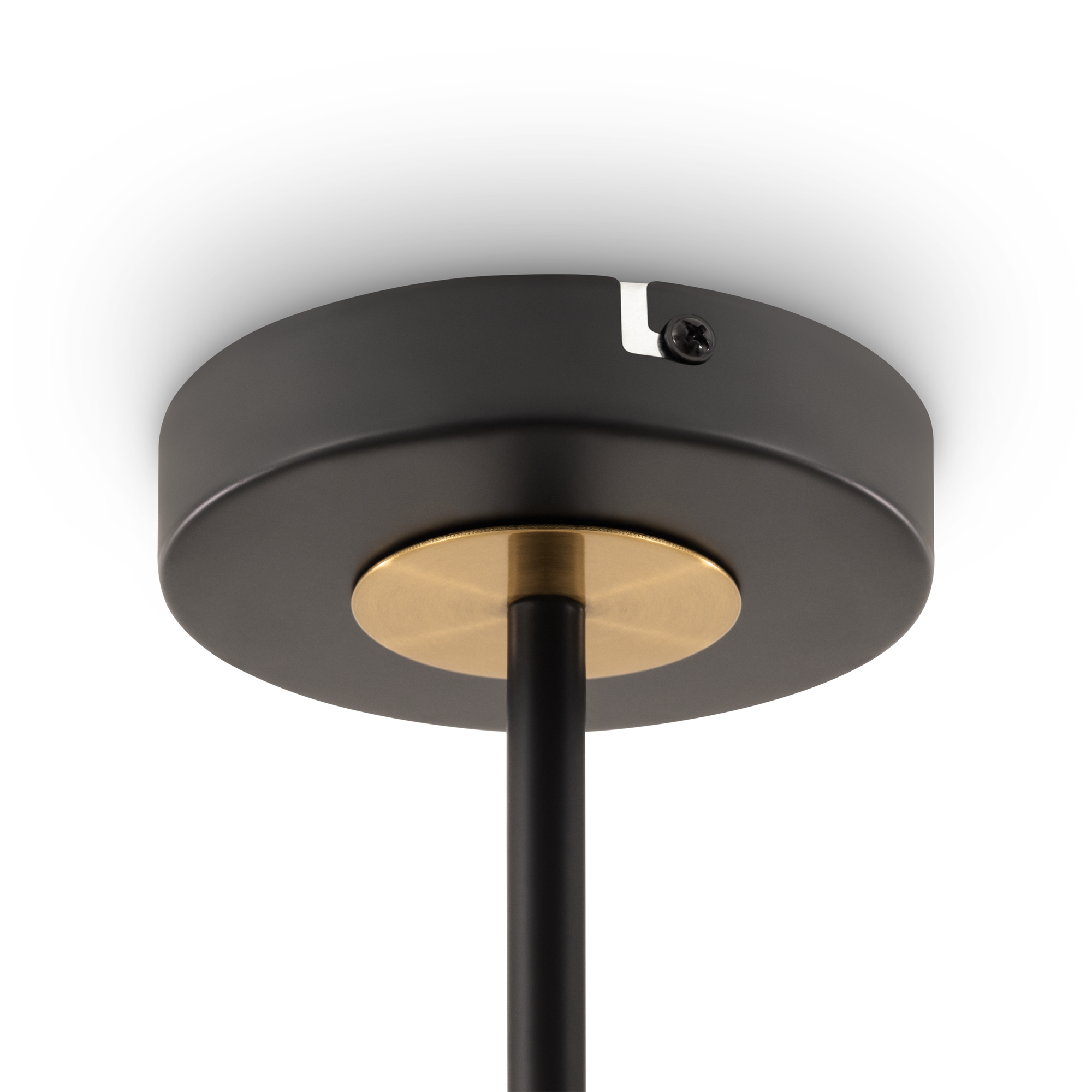 картинка Потолочный светильник Freya FR5370CL-04B