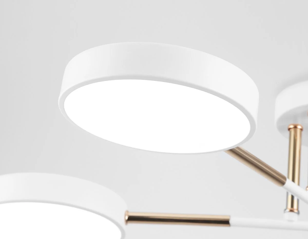 картинка Люстра светодиодная на штанге FL516331