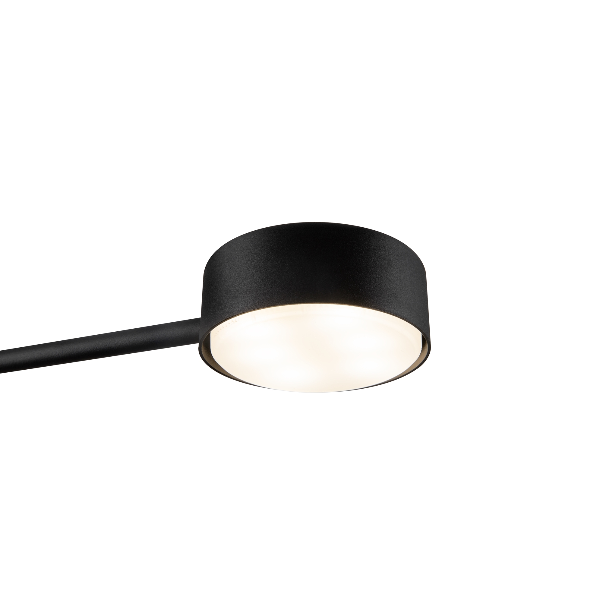 картинка Потолочный светильник Freya FR5363CL-02B1