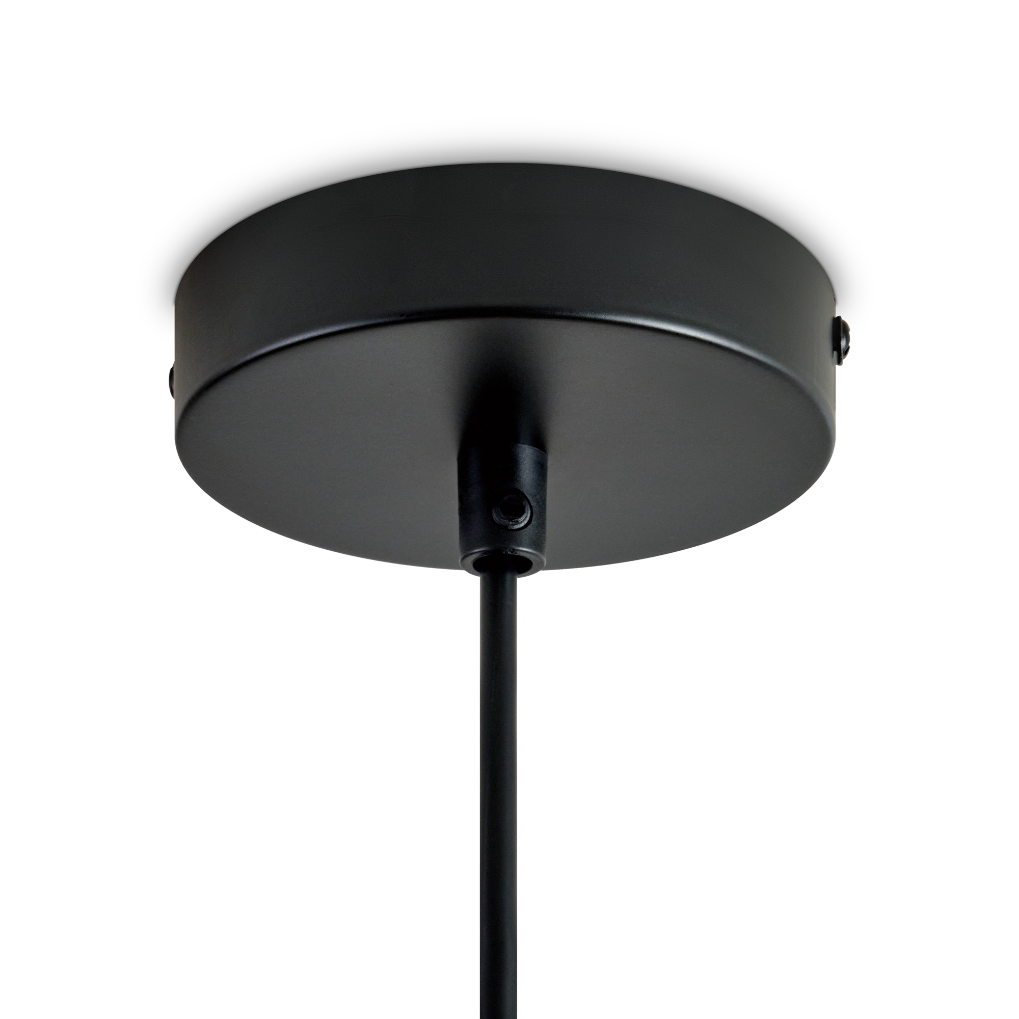 картинка Подвесной светильник Freya FR5595PL-01B