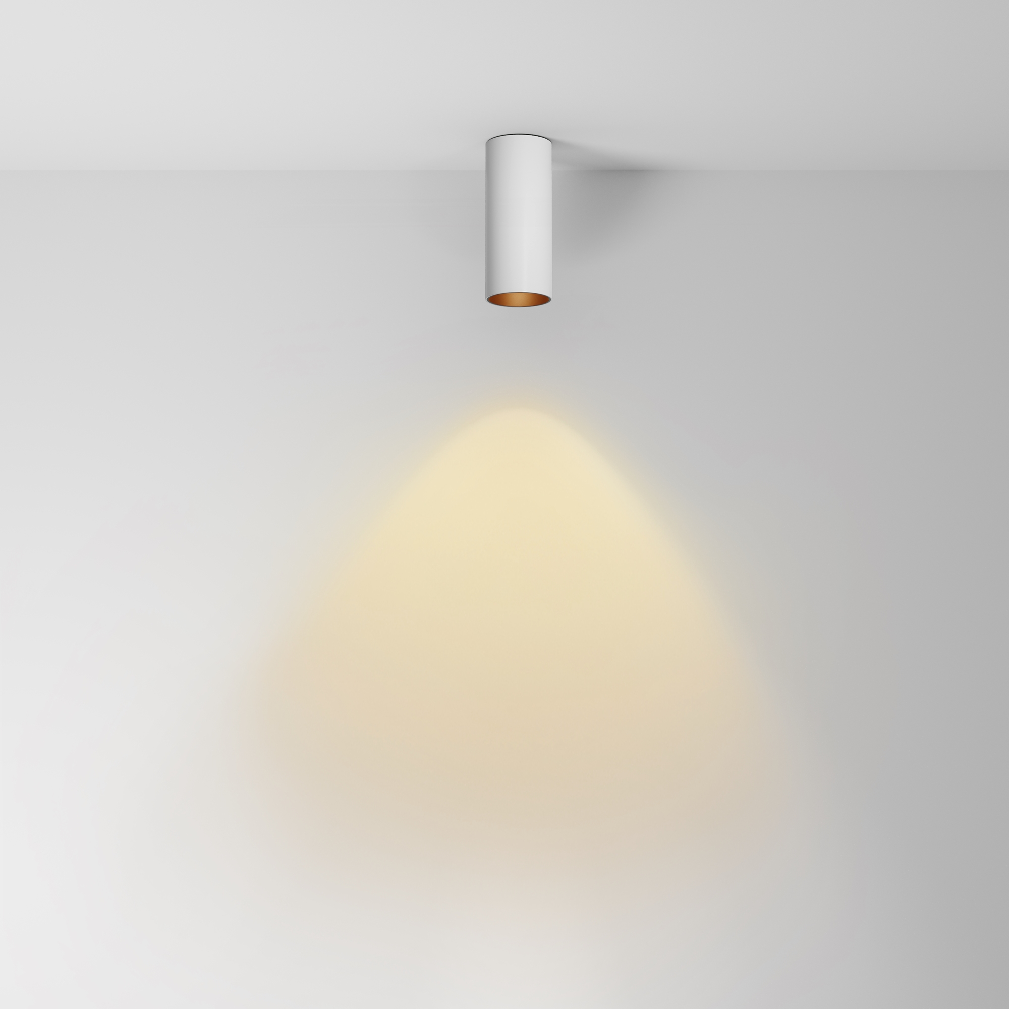 картинка Потолочный светильник Technical C056CL-L12W2.7K-W-W