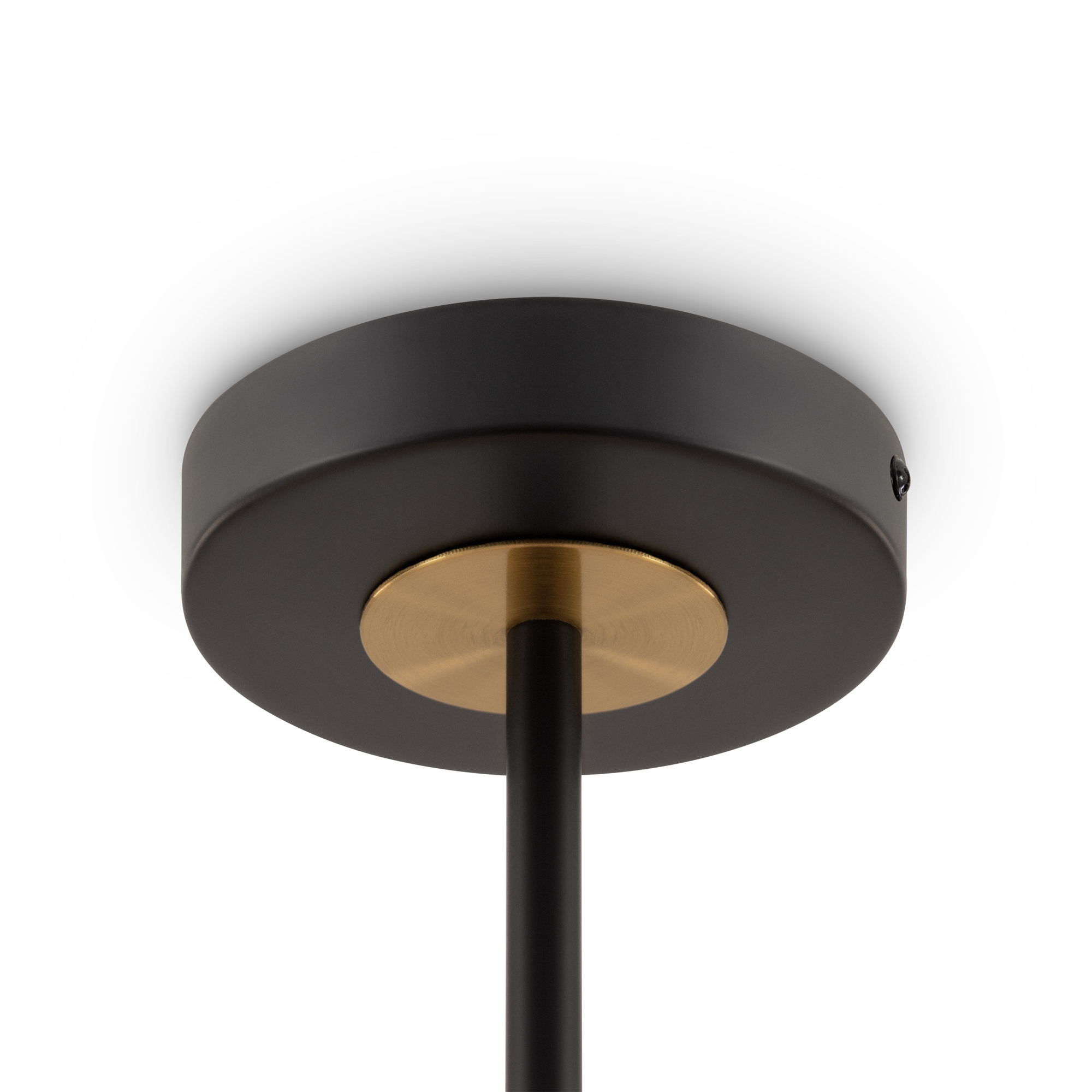 картинка Потолочный светильник Freya FR5370CL-06B