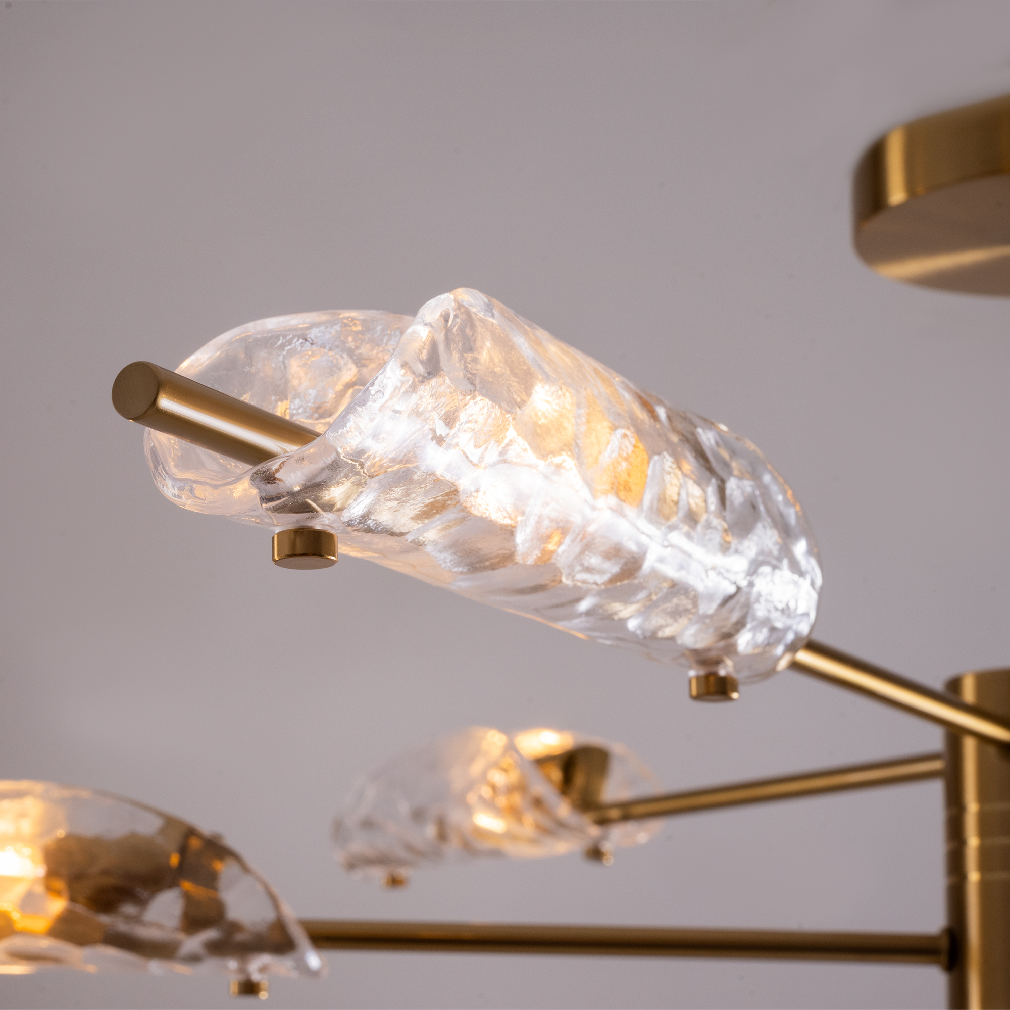 картинка Потолочный светильник Freya FR5420CL-06BS