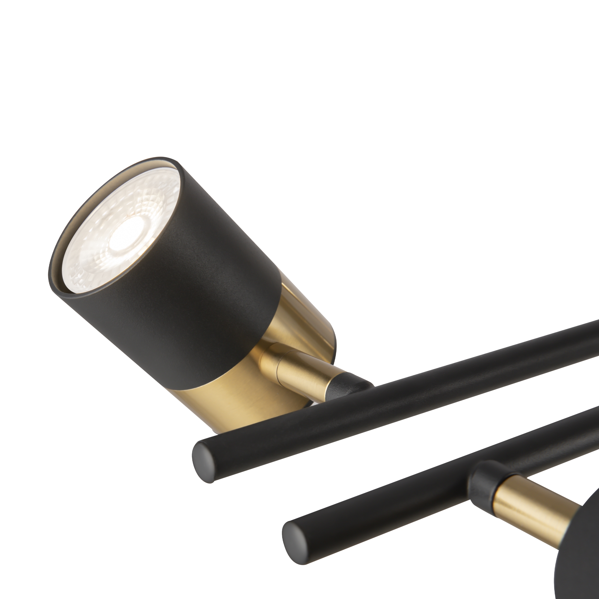 картинка Подвесной светильник Freya FR5201PL-10B