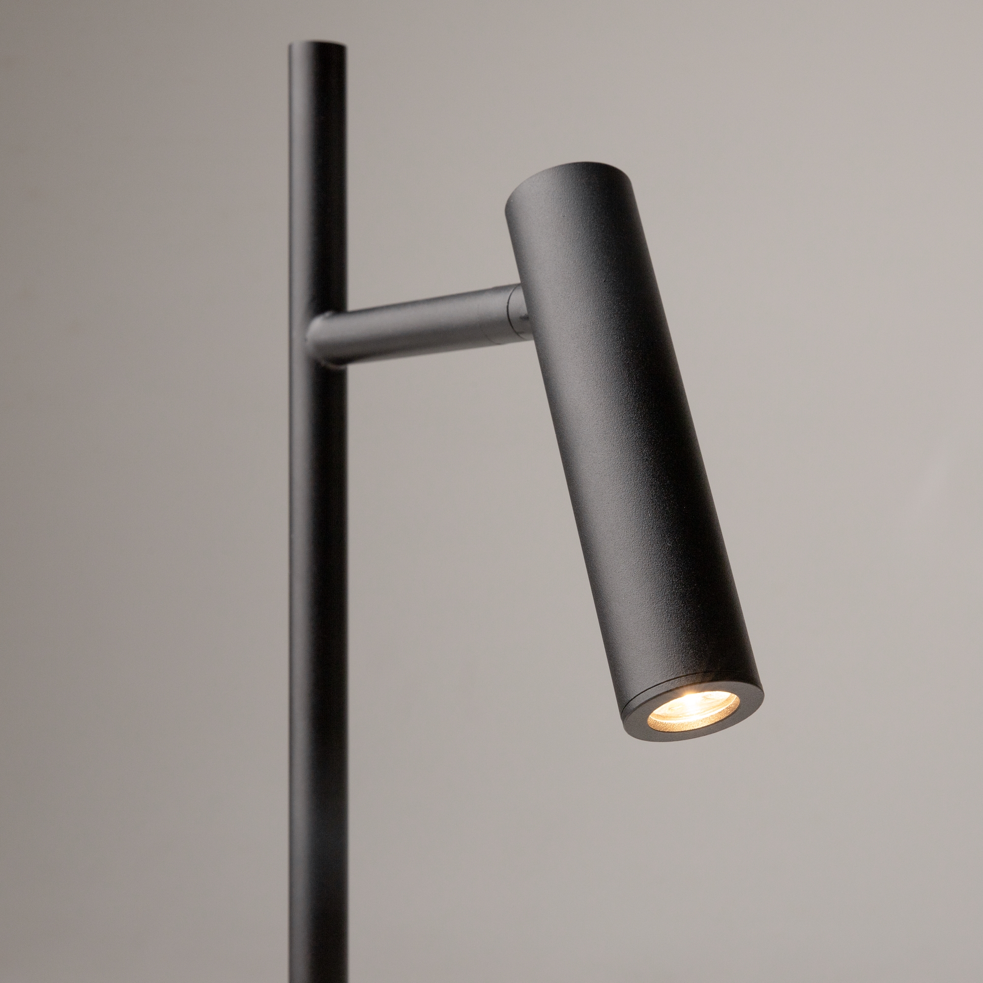 картинка Напольный светильник (торшер) Maytoni Z010FL-L8B3K