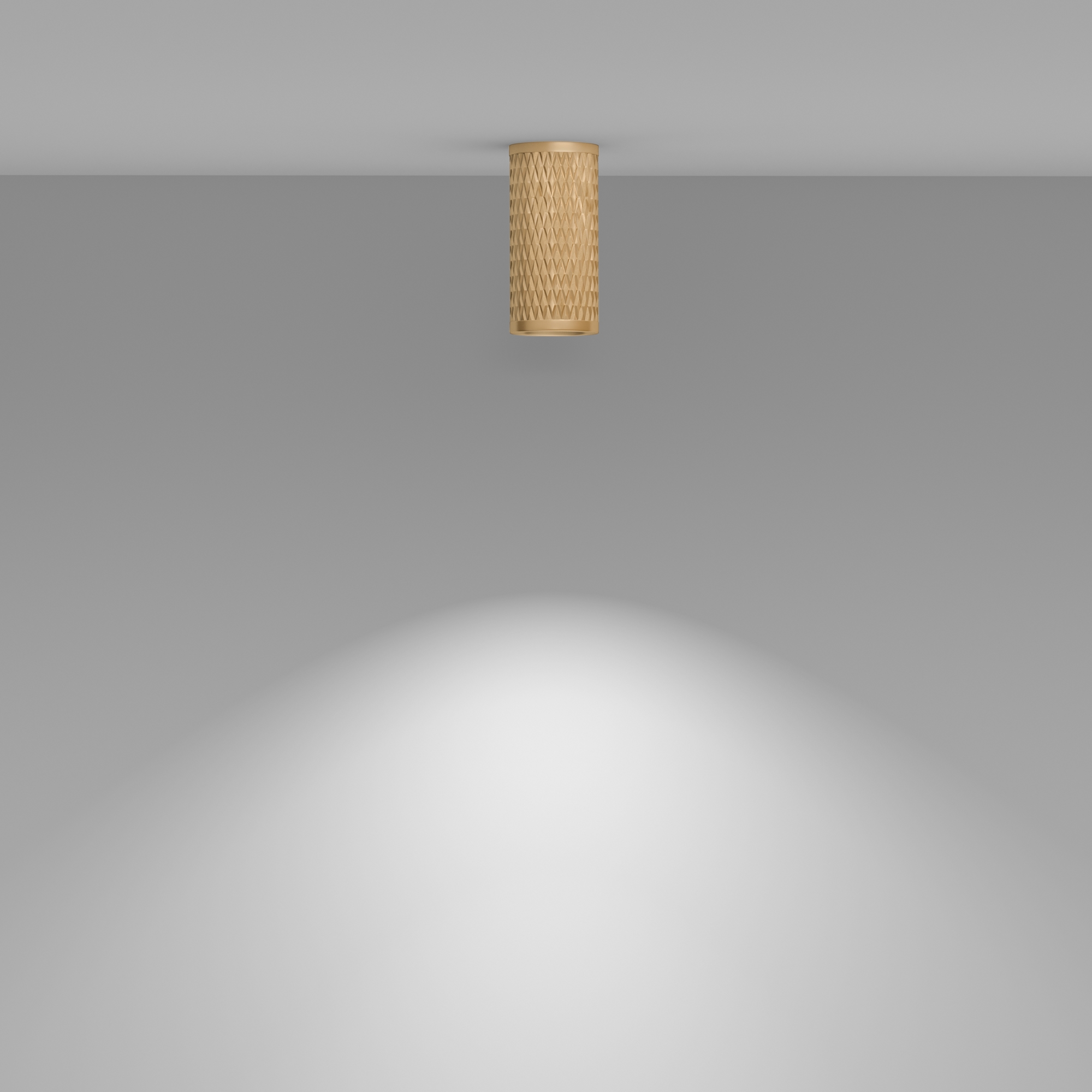 картинка Потолочный светильник Technical C036CL-01G