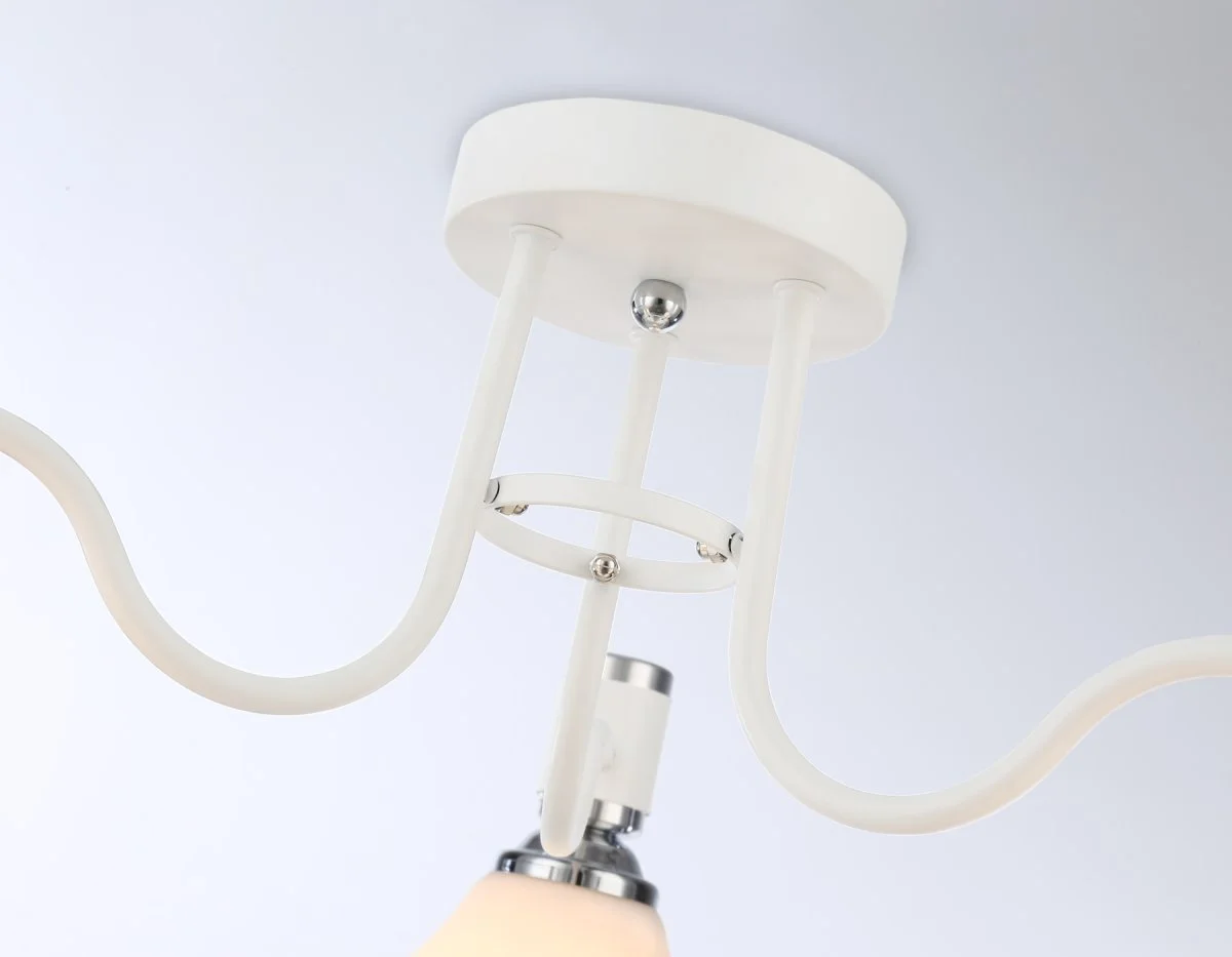 картинка Потолочный светильник TR303302