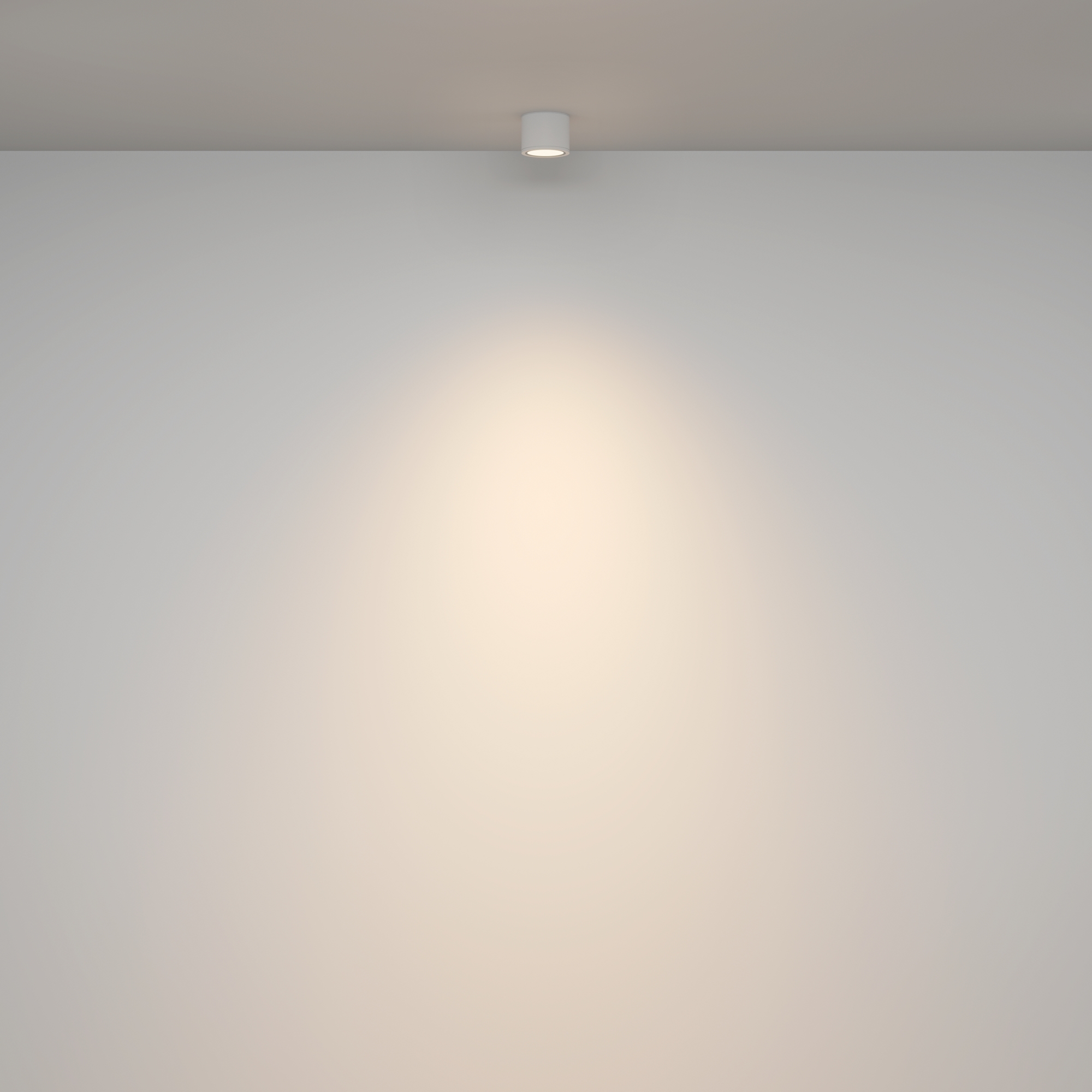 картинка Потолочный светильник Technical C095CL-GX53-W