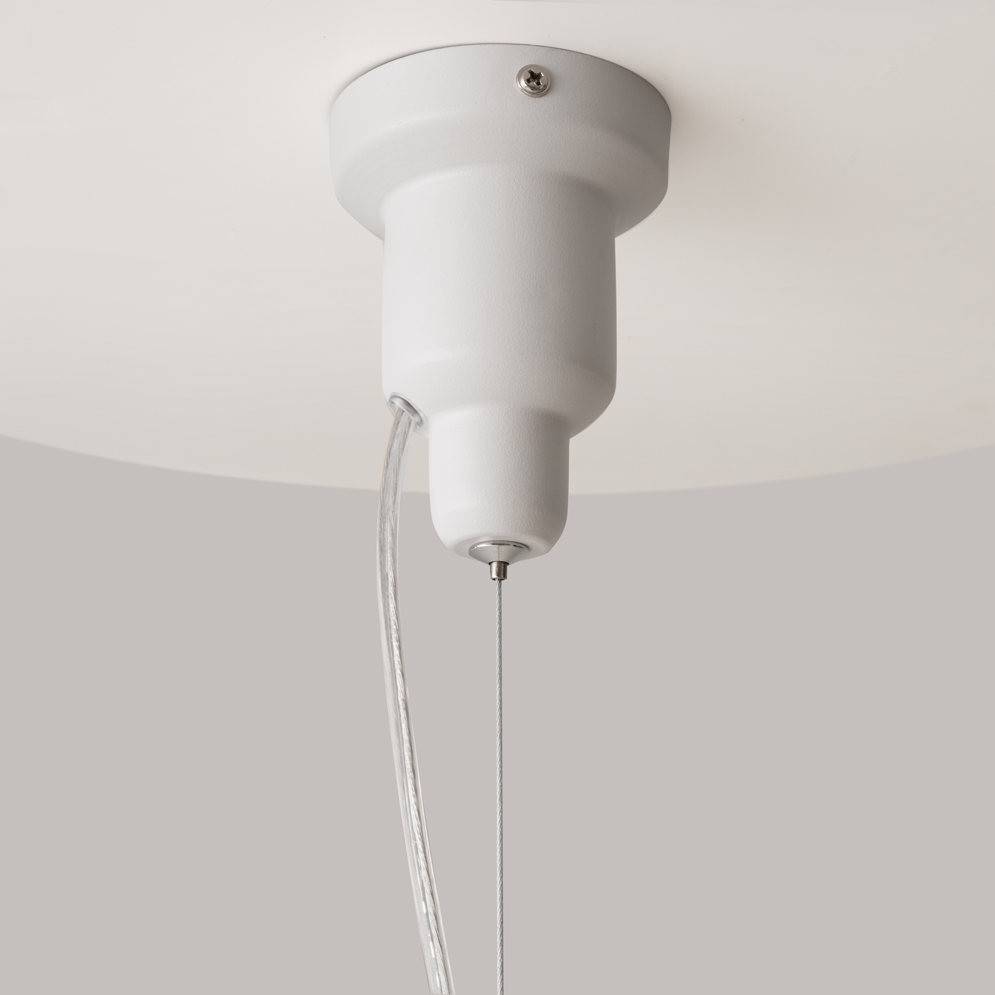 картинка Подвесной светильник Maytoni P534PL-01W