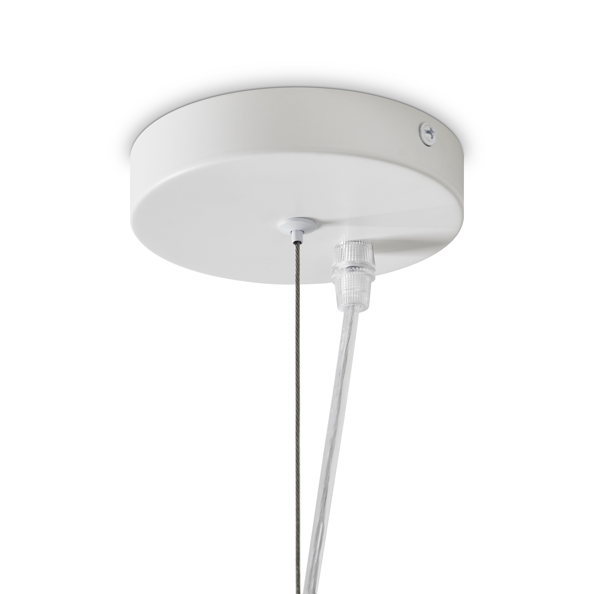 картинка Подвесной светильник Freya FR5428PL-01W