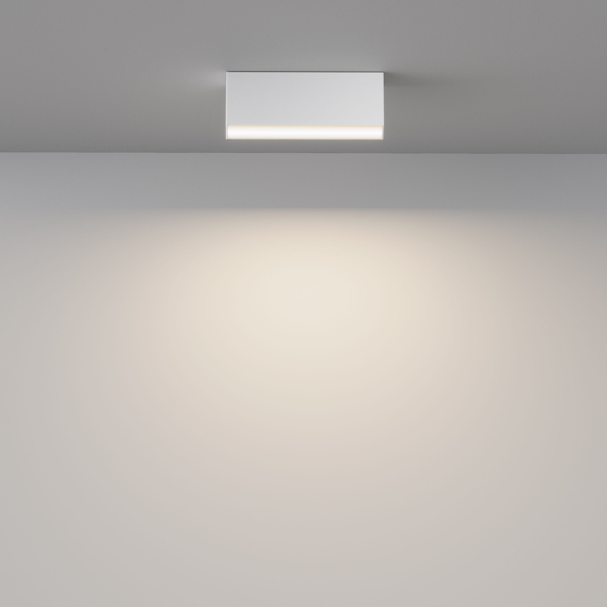 картинка Потолочный светильник Technical C068CL-12W3-6K-W