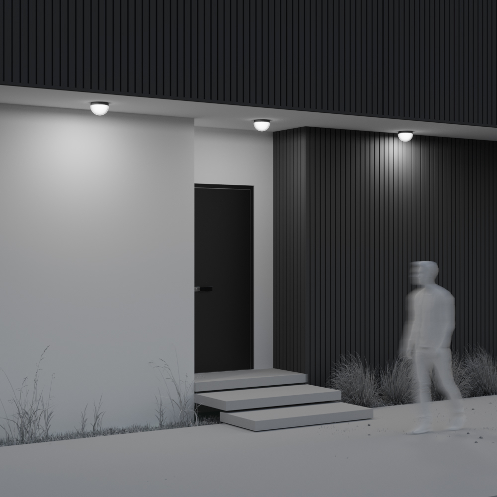 картинка Потолочный светильник Outdoor O438CL-L12GF3K