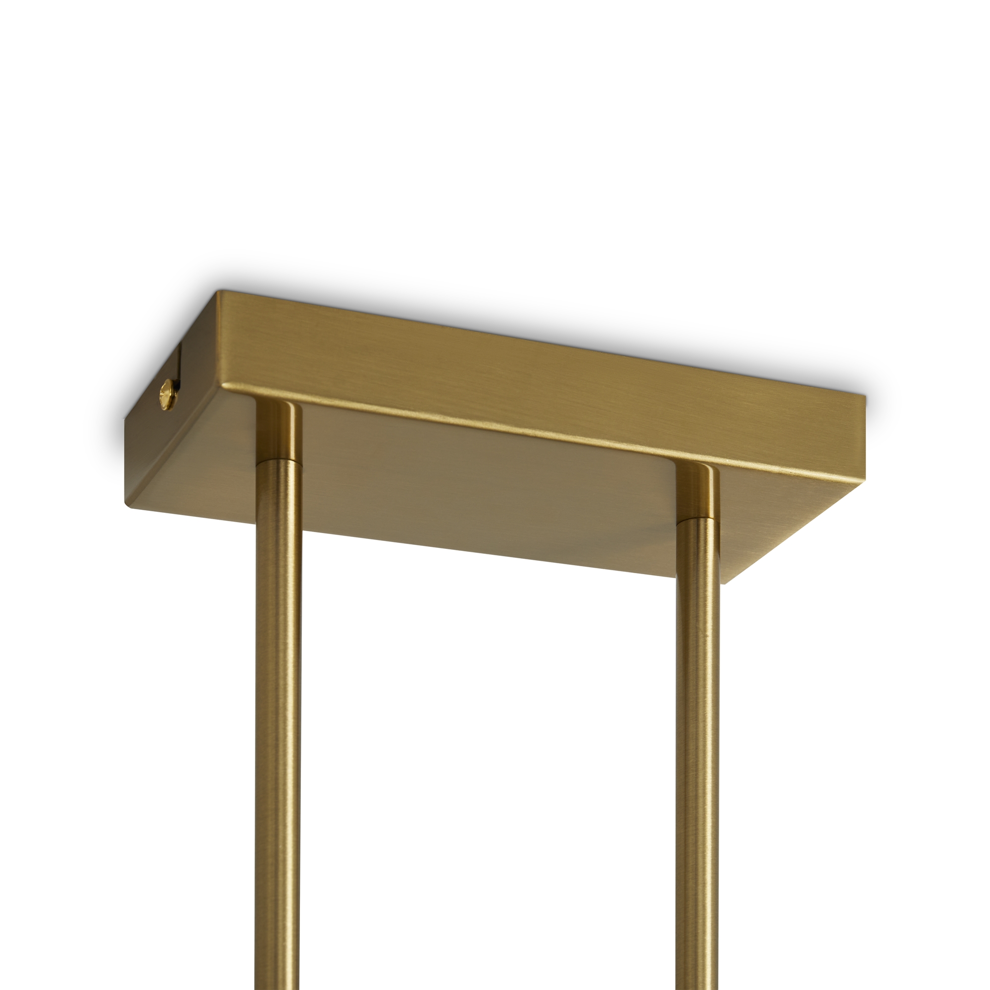 картинка Подвесной светильник Freya FR5446PL-04BS