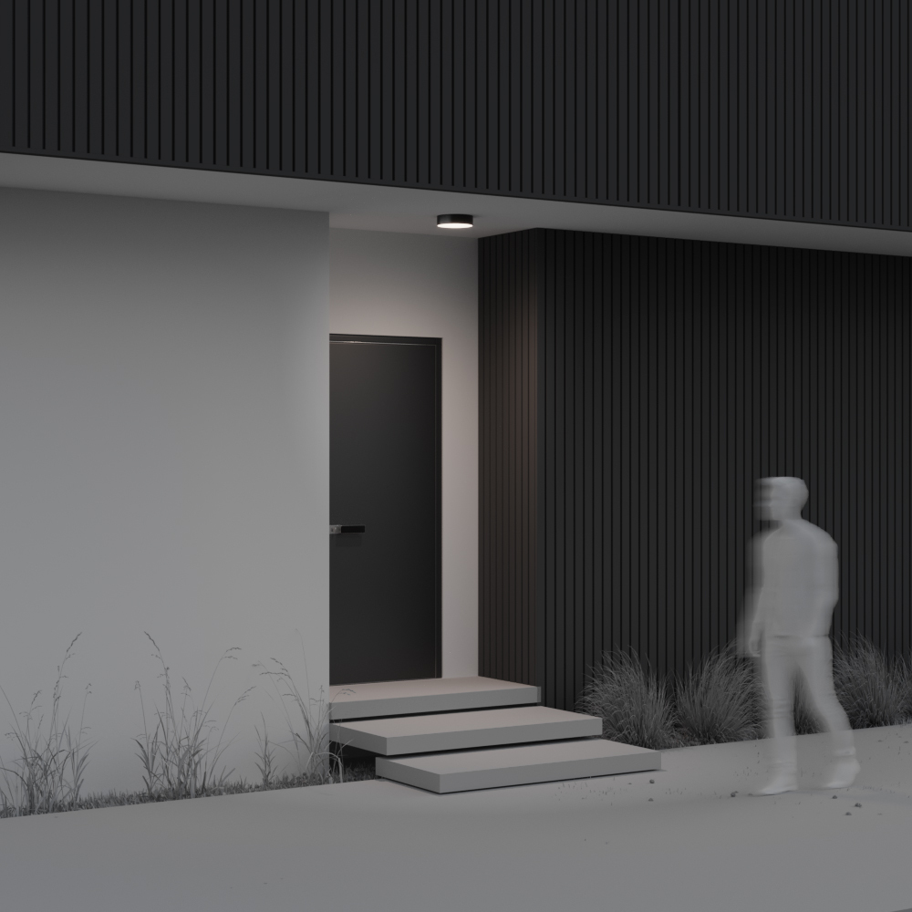 картинка Потолочный светильник Outdoor O431CL-L30B4K