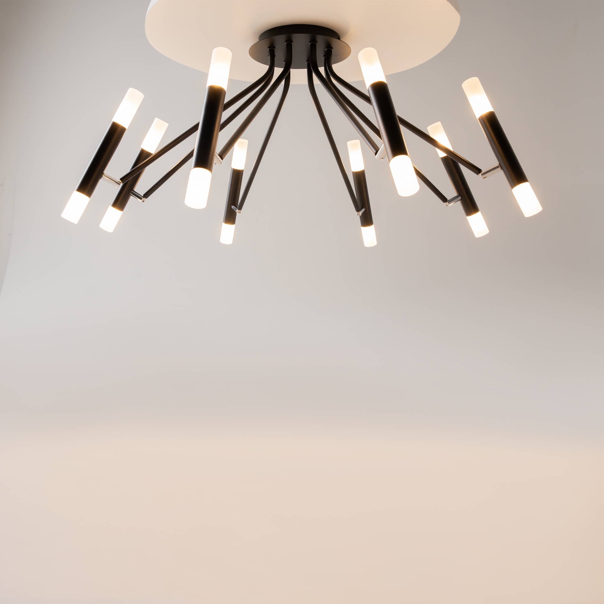 картинка Потолочный светильник Maytoni MOD620CL-16B