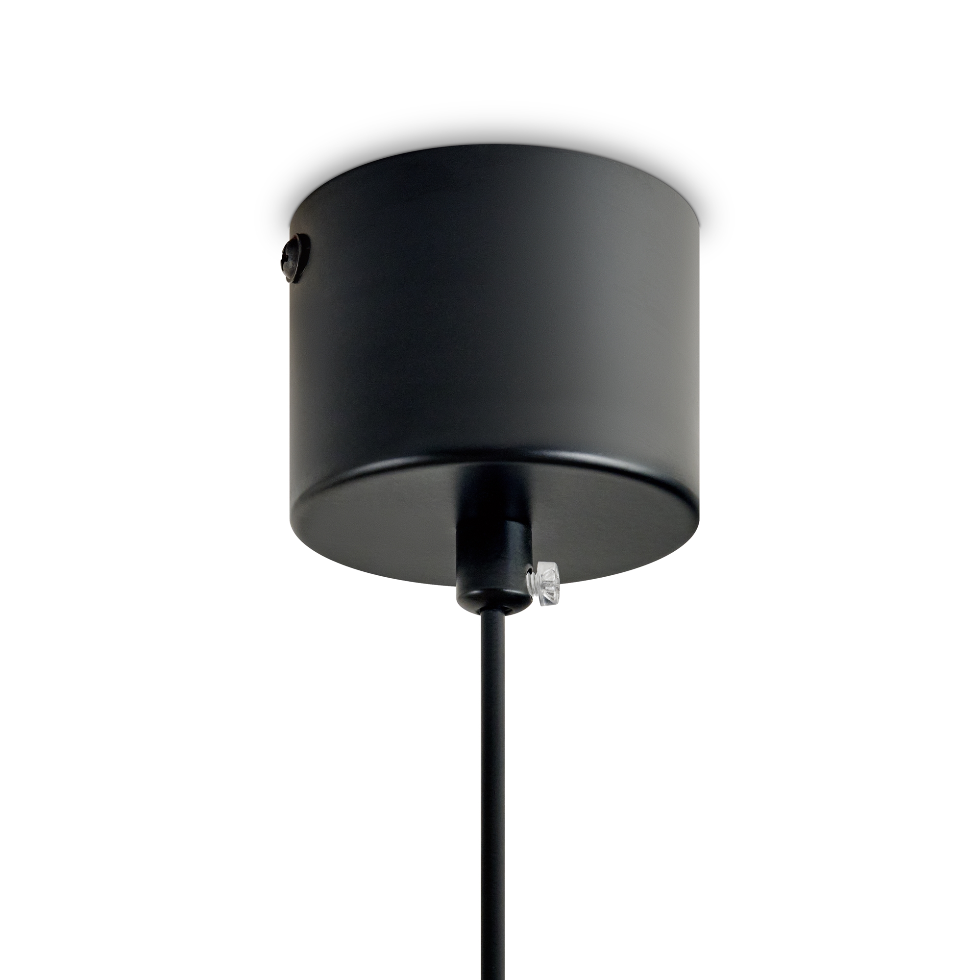 картинка Подвесной светильник Freya FR5599PL-01CFL