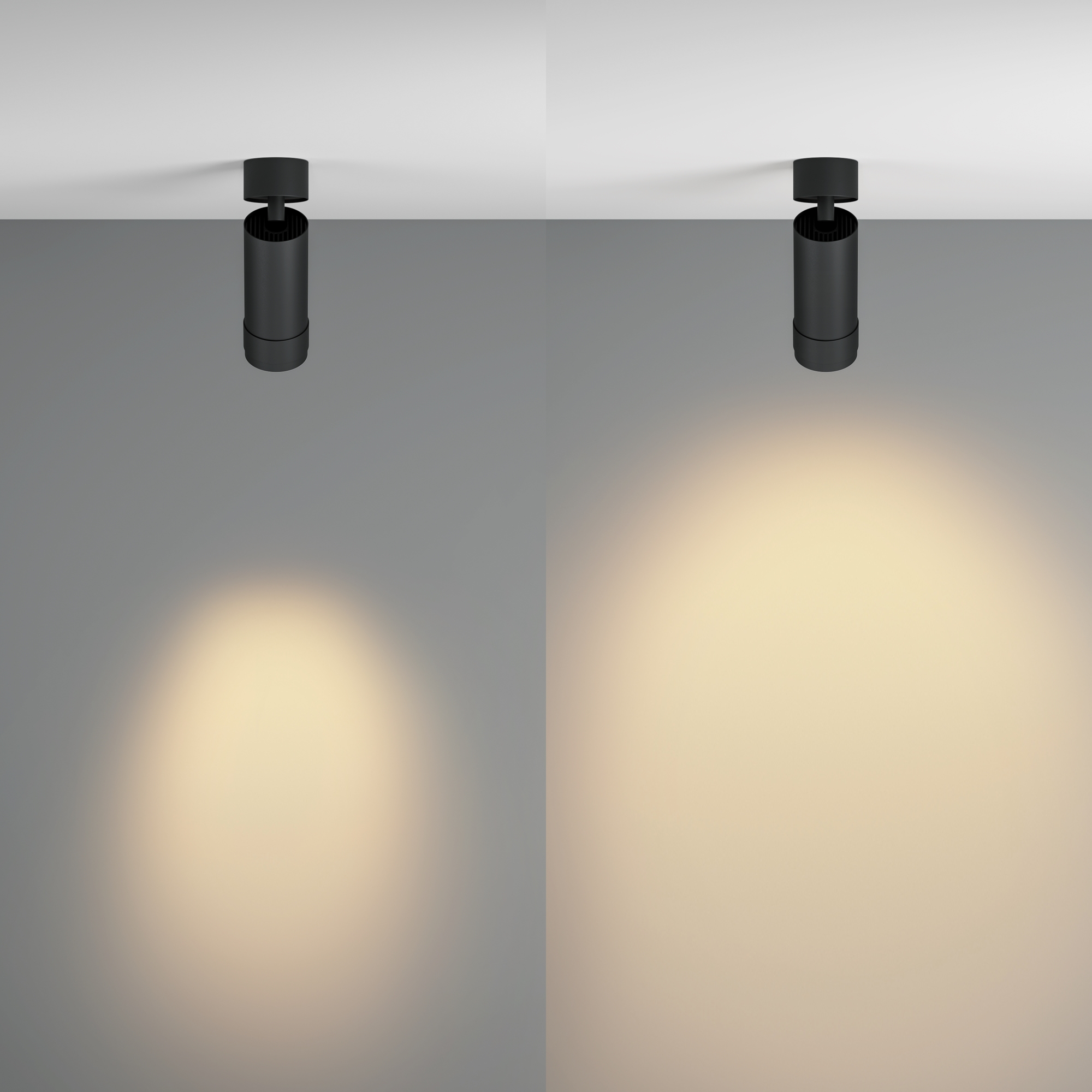 картинка Потолочный светильник Technical C055CL-L12W2.7K-Z-B