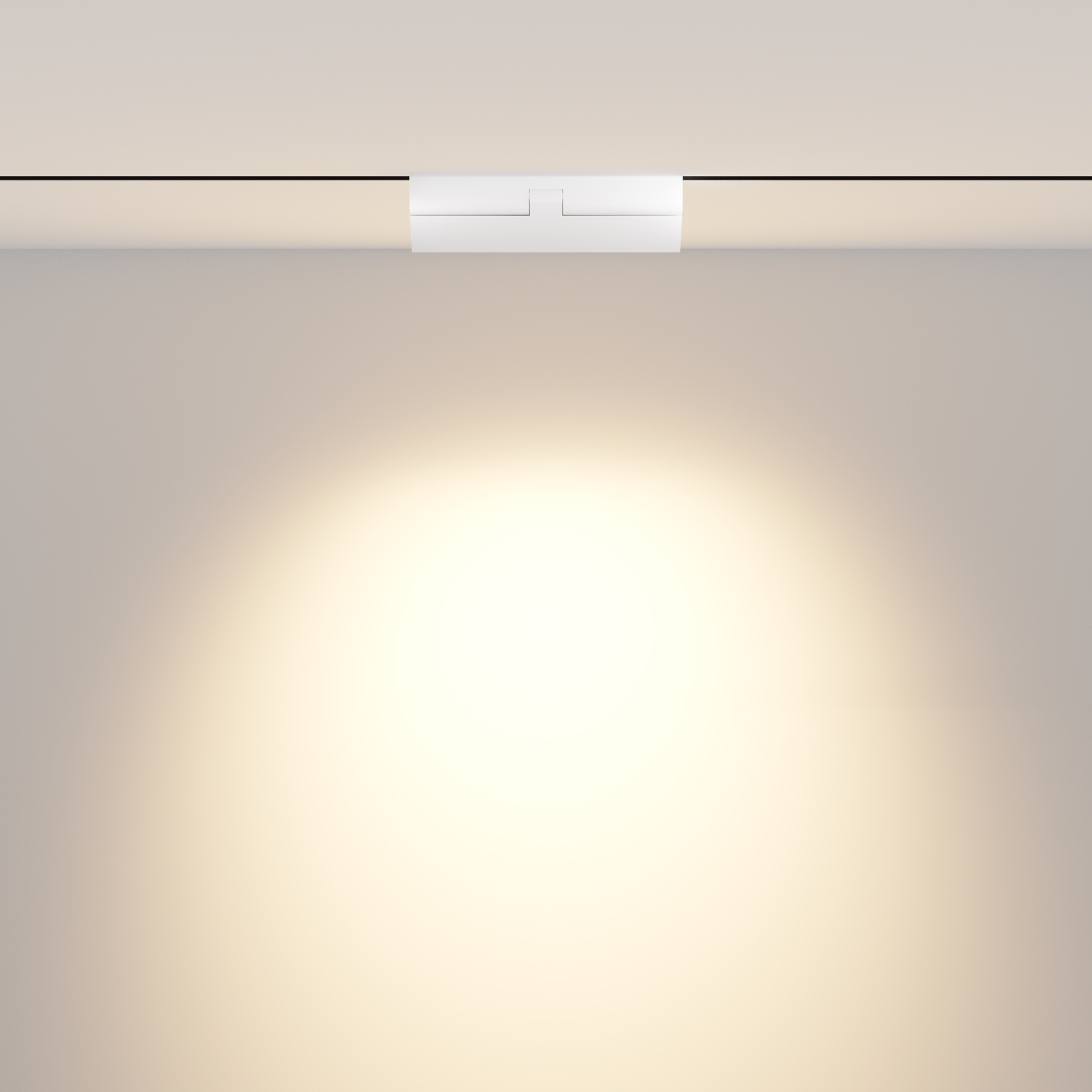 картинка Трековый светильник Technical TR033-2-12W3K-W