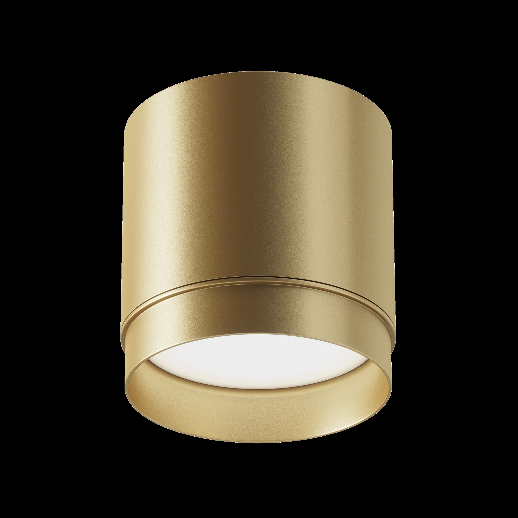 картинка Потолочный светильник Technical C088CL-GX53-MG