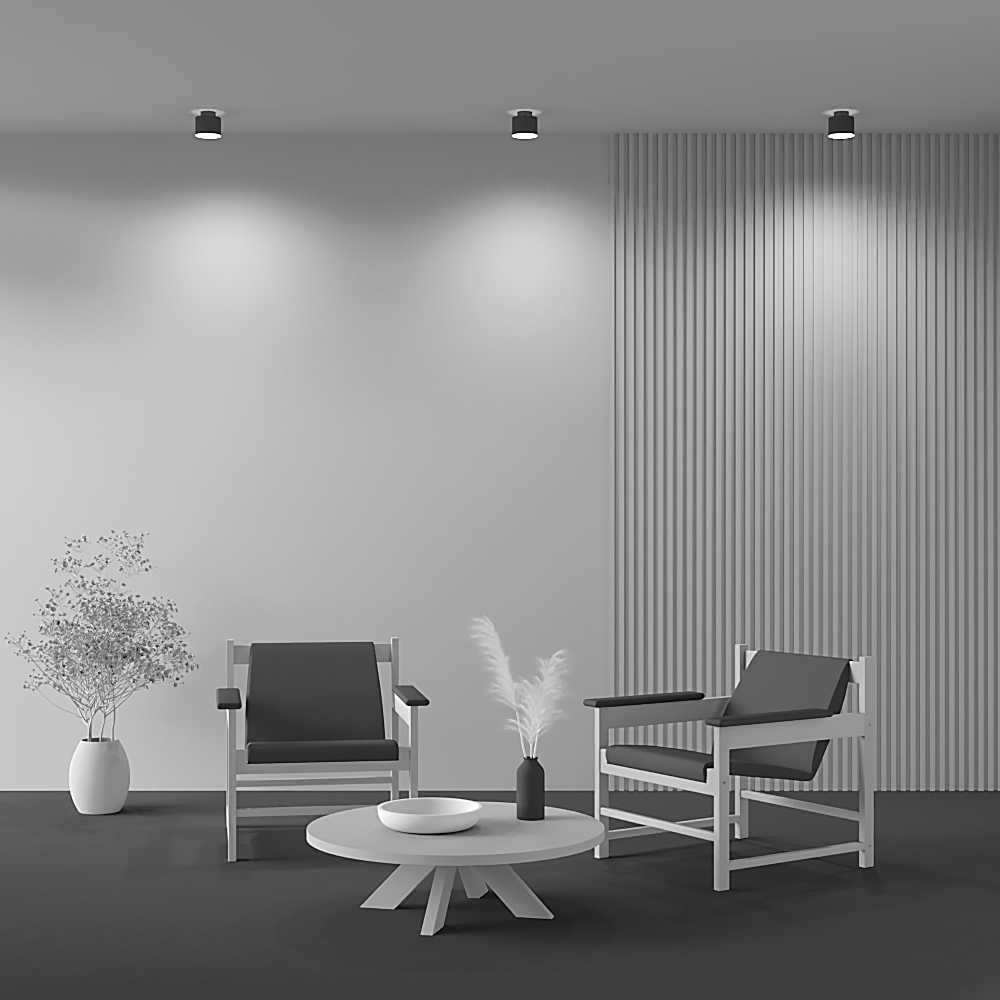 картинка Потолочный светильник Technical C009CW-L12B4K