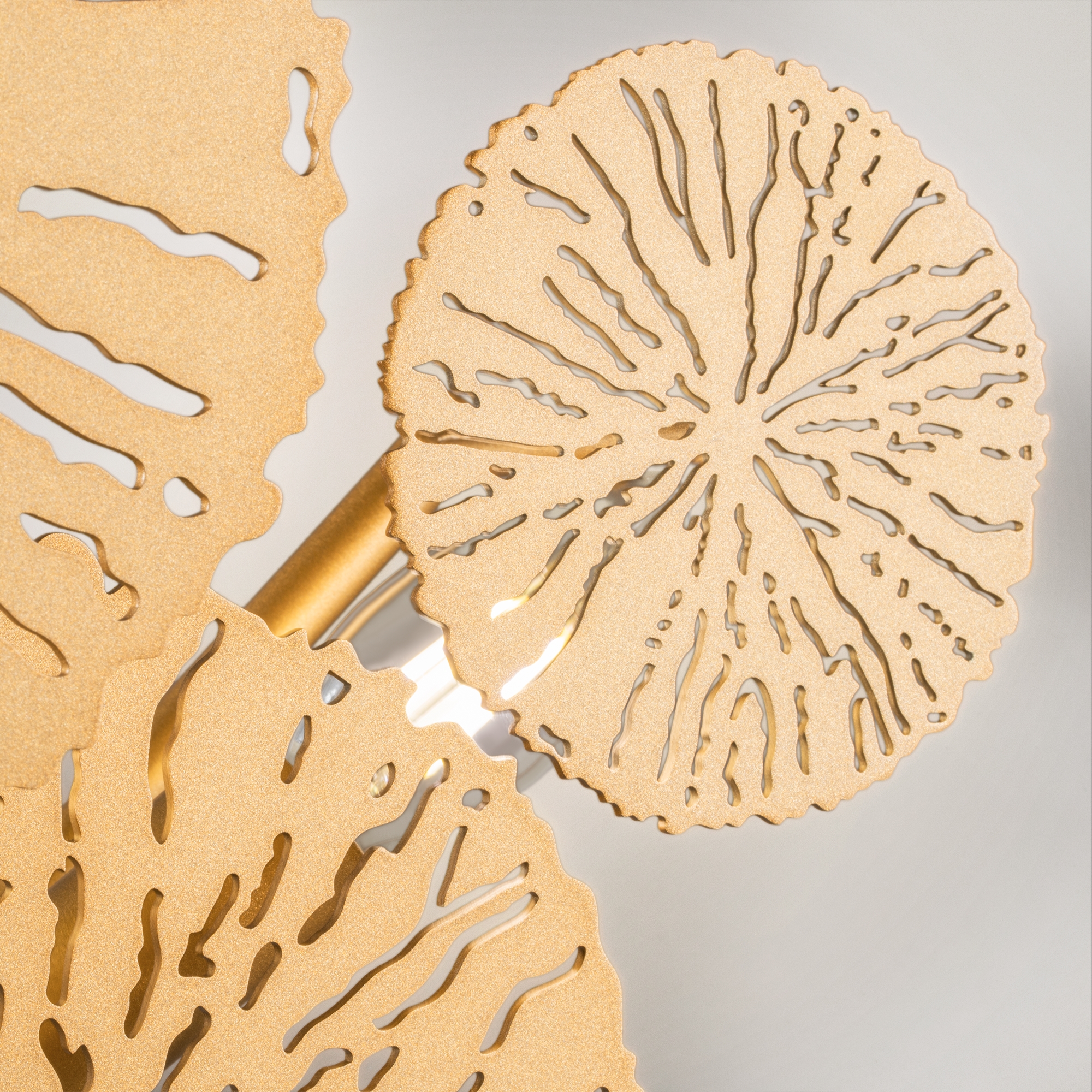 картинка Настенный светильник (бра) Maytoni MOD082WL-04G