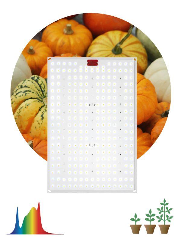 картинка Панель светодиодная FITO-160W-LED-QB Quantum board 160Вт полноспектральная для растений IP65 Эра Б0057283