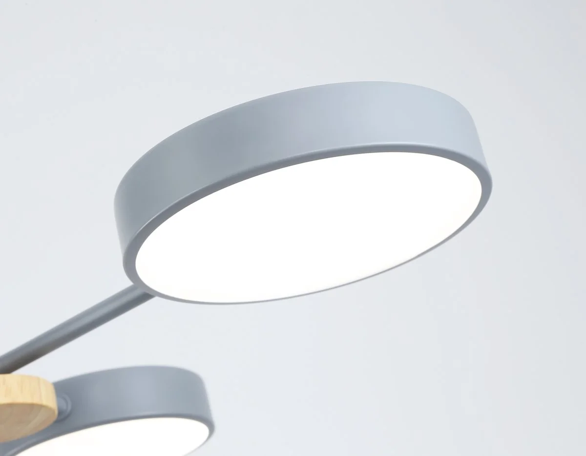 картинка Люстра светодиодная на штанге FL4859