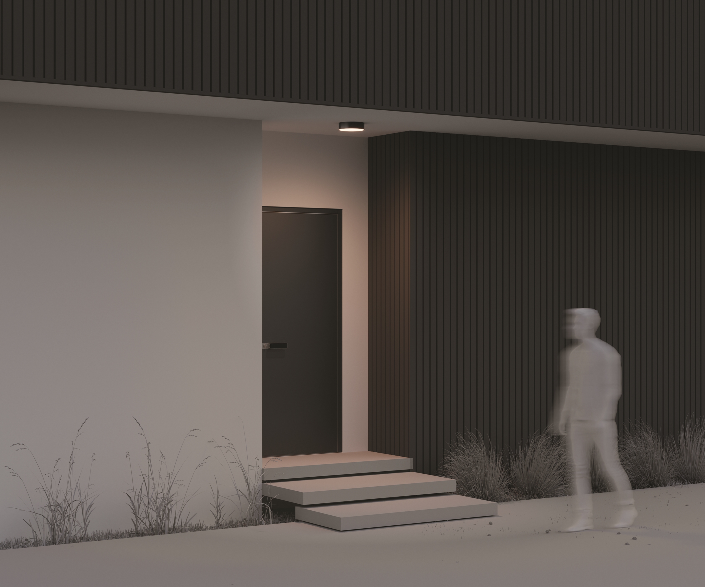 картинка Потолочный светильник Outdoor O431CL-L30B3K