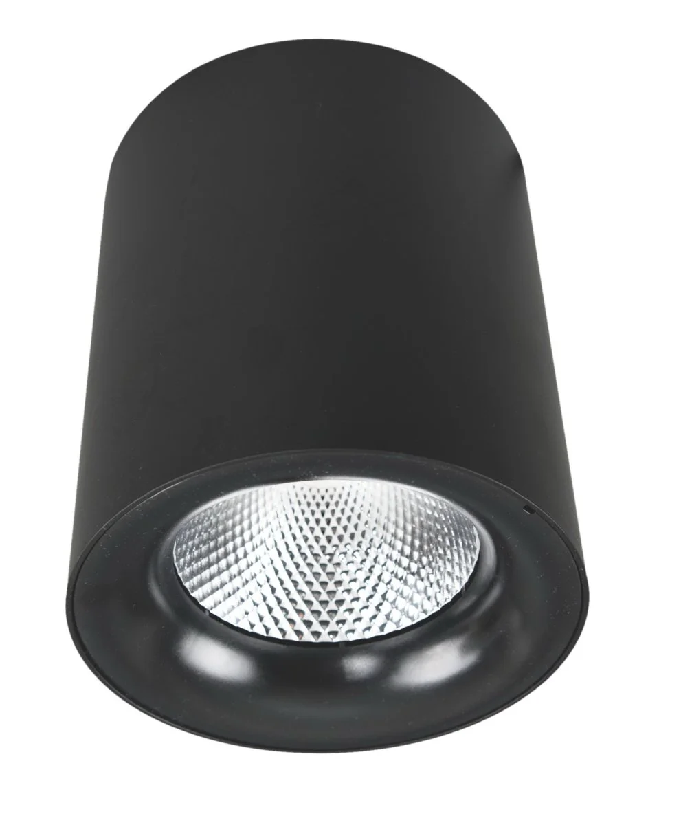 картинка Точечный накладной светильник Arte Lamp FACILE A5112PL-1BK