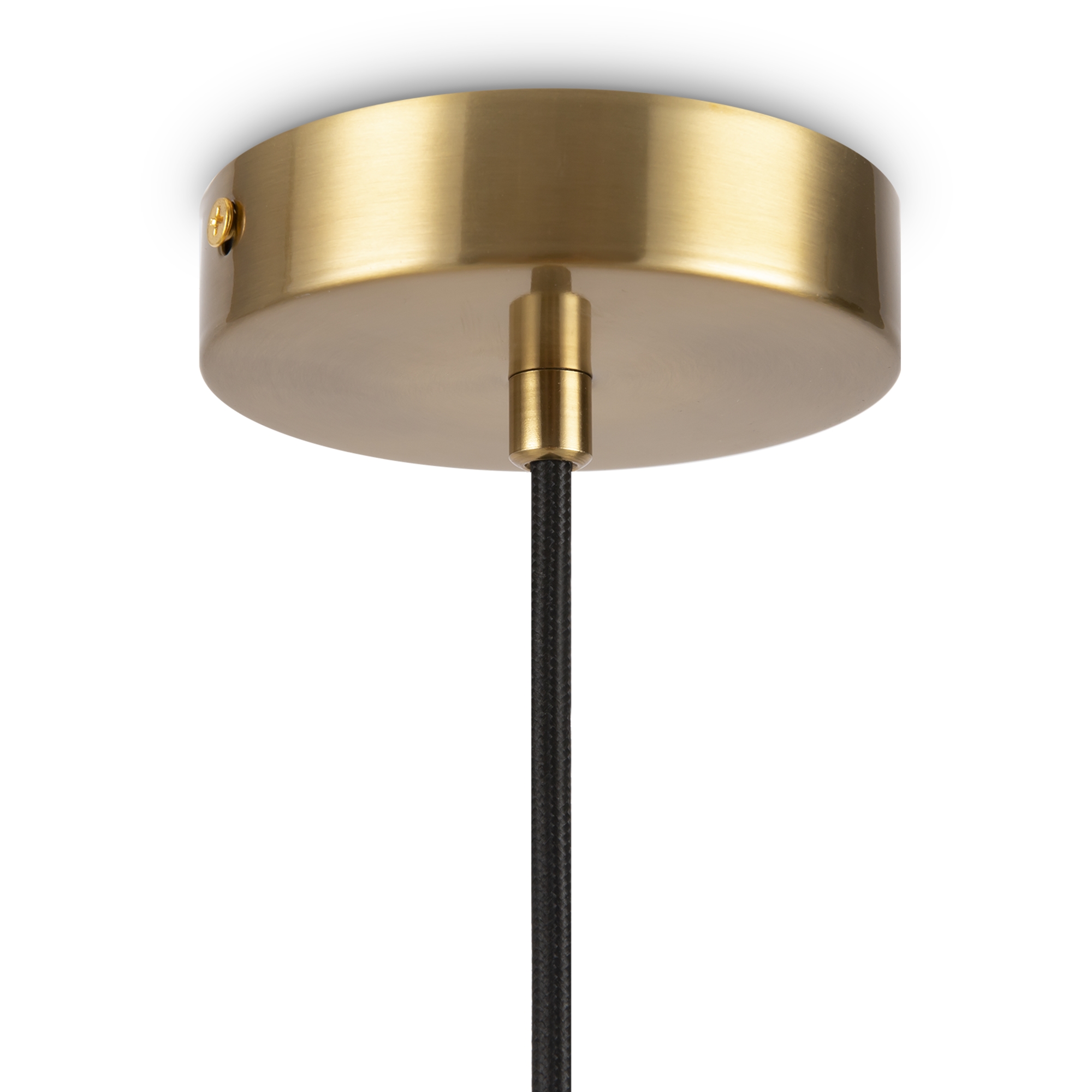 картинка Подвесной светильник Freya FR5130PL-01BS