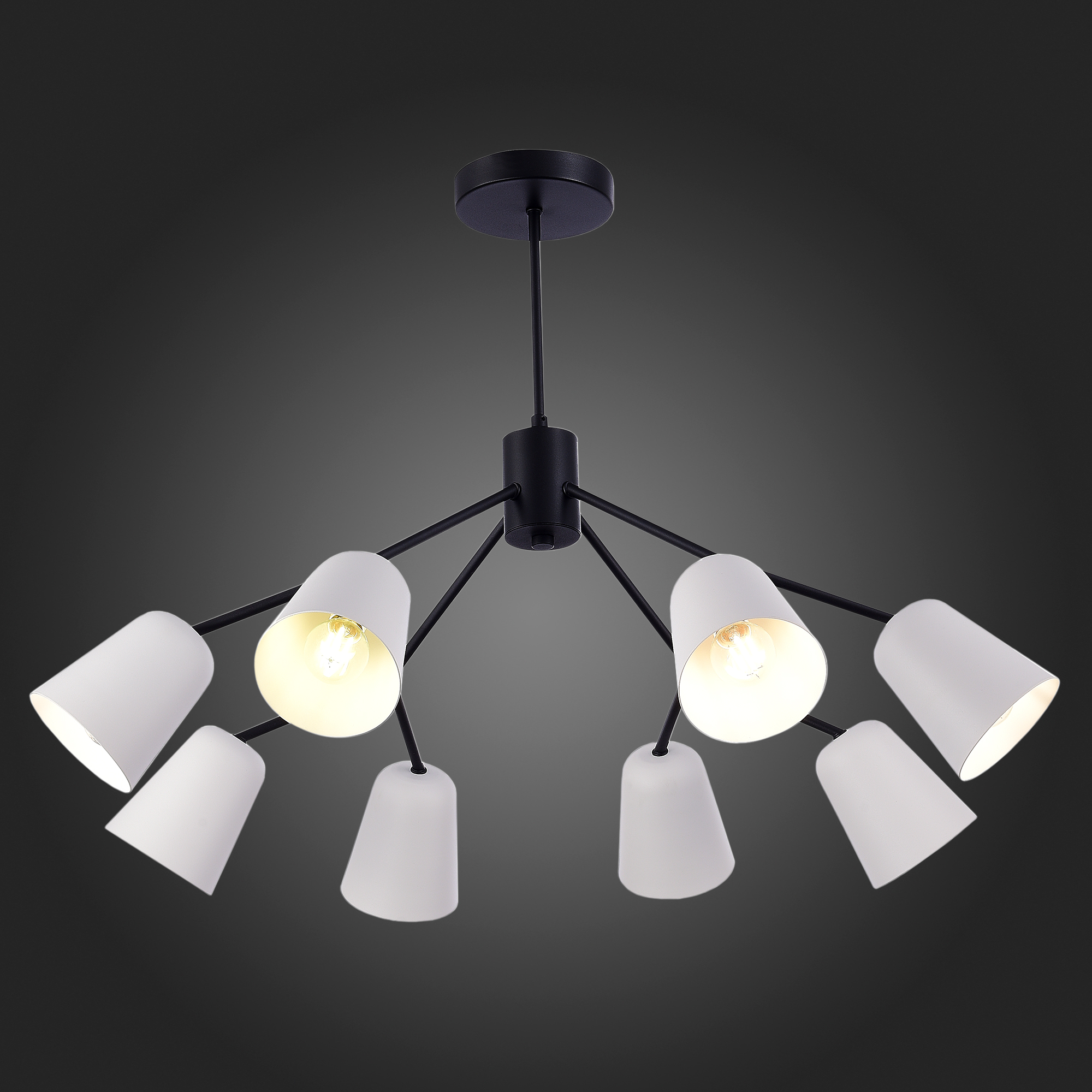 картинка SLE155942-08 Светильник потолочный Черный/Белый E14 8*40W