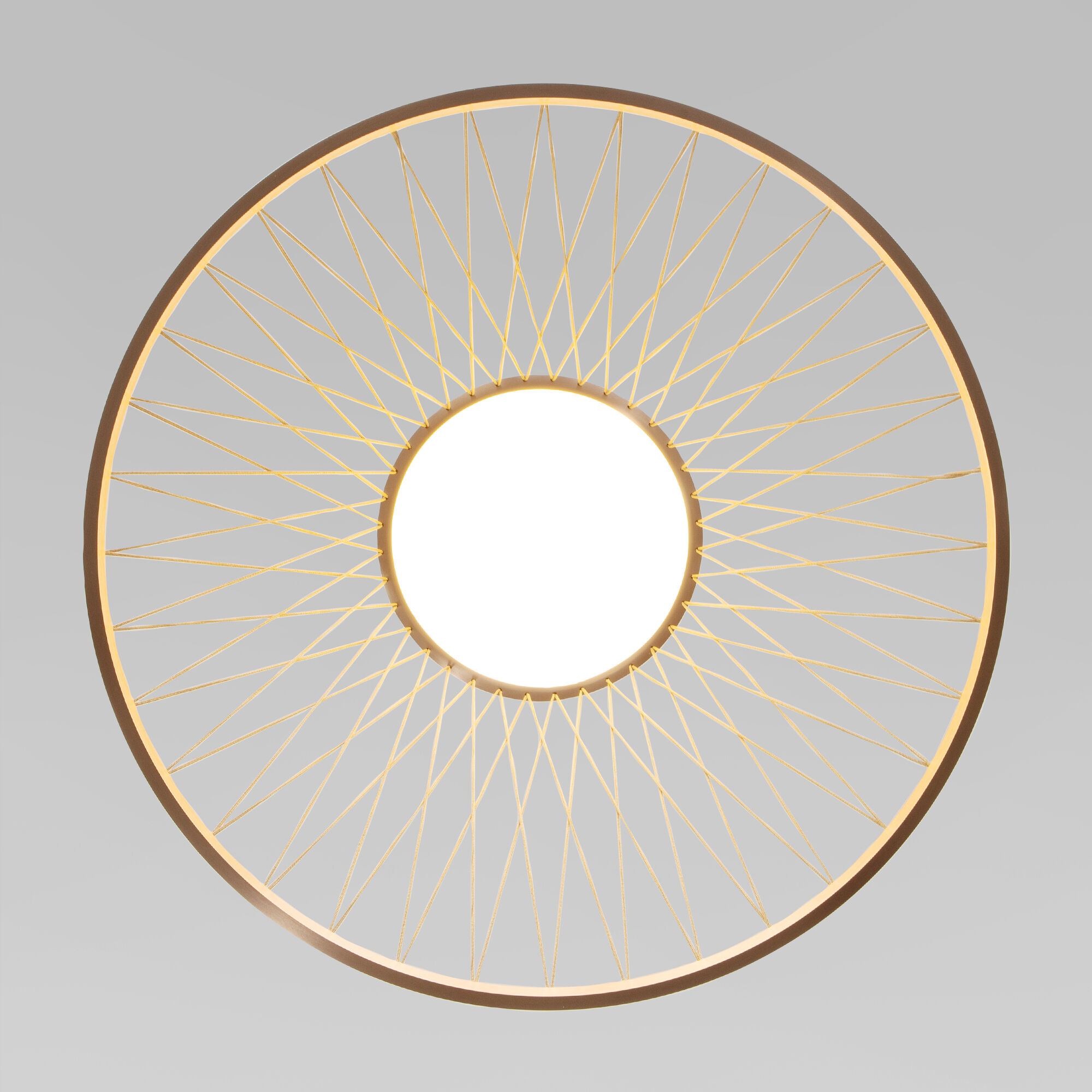 картинка Подвесной светодиодный светильник 40017/1 LED коричневый