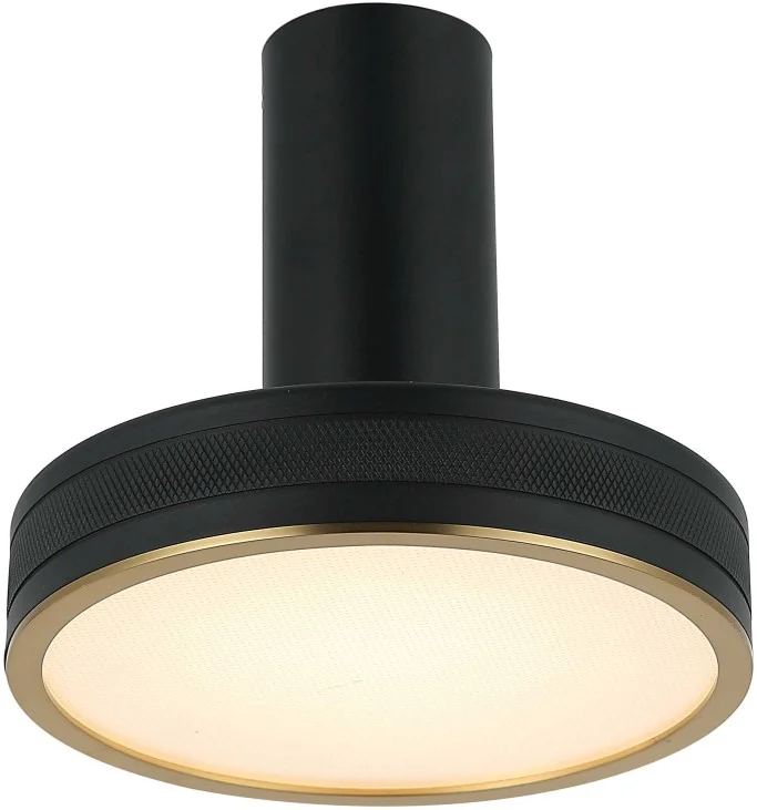 картинка Светильник потолочный-настенный Stilfort 4025/02/01CW серия Tendas