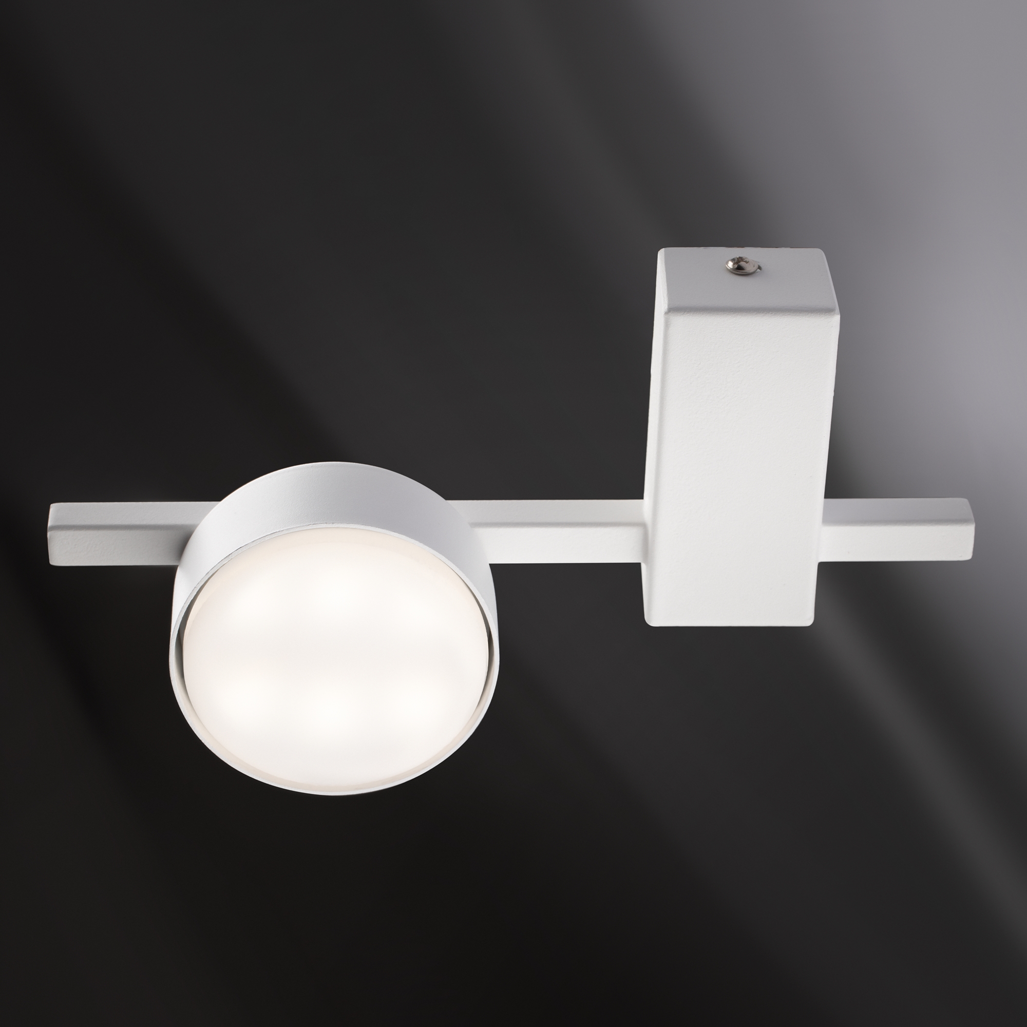 картинка Потолочный светильник Freya FR5363CL-01W