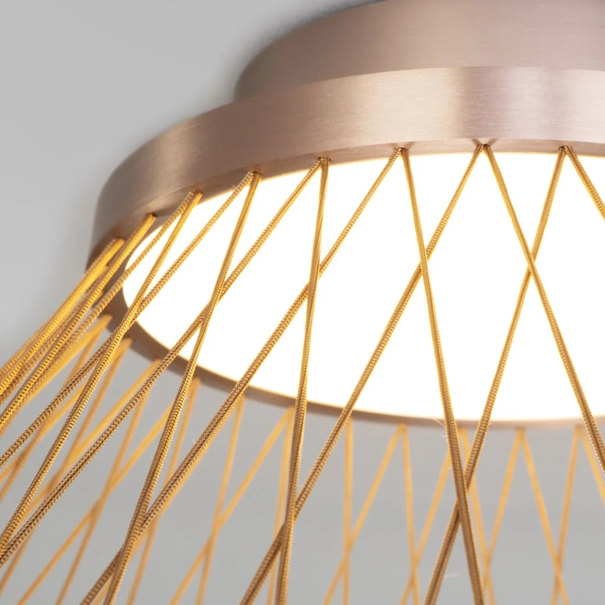 картинка Потолочный светодиодный светильник 40019/1 LED коричневый