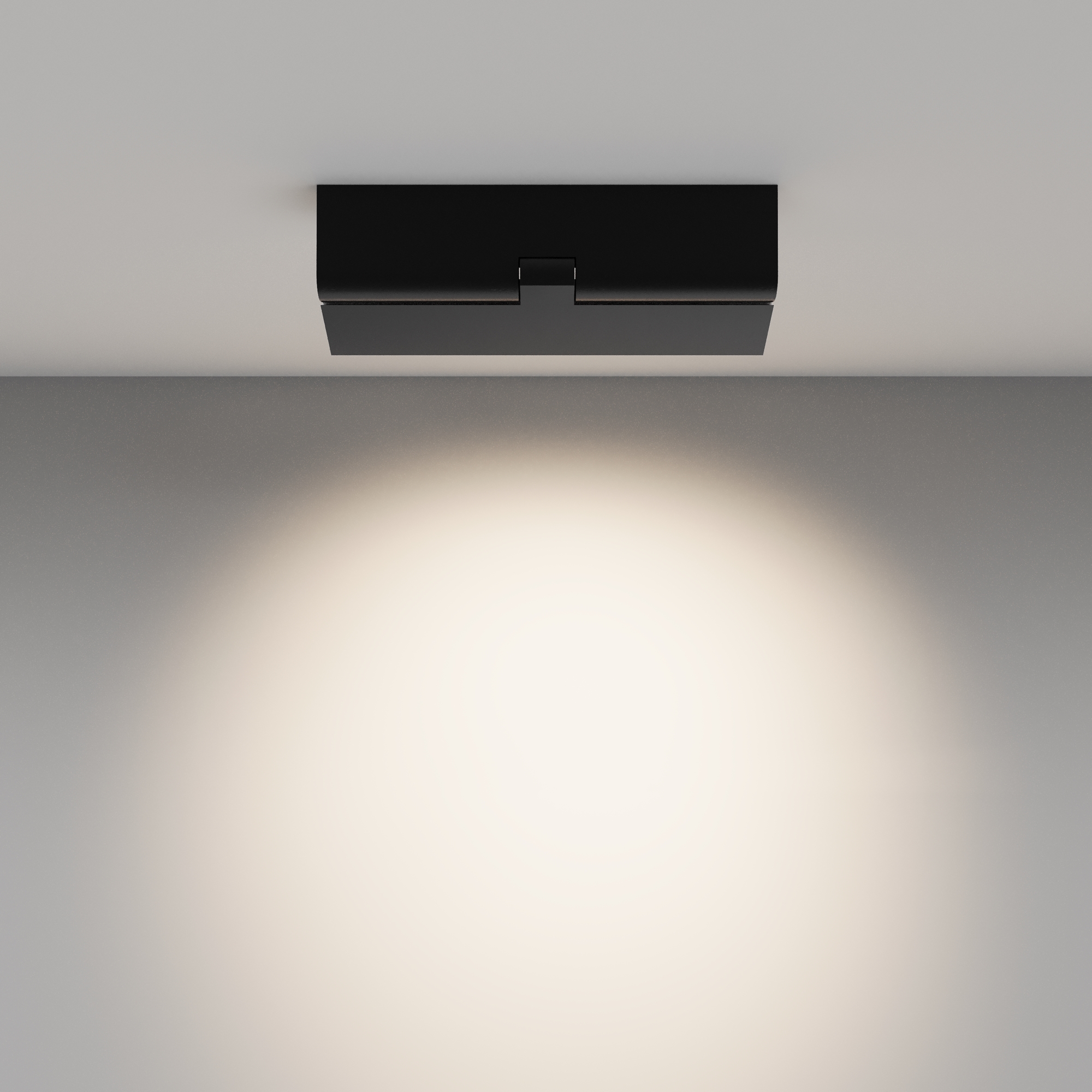 картинка Потолочный светильник Technical C136CL-12W4K-B