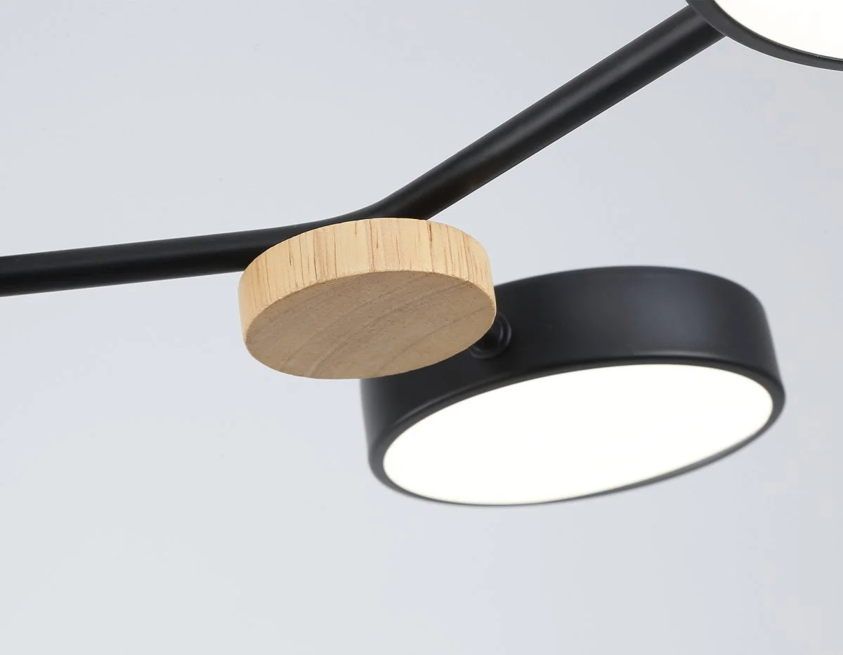 картинка Люстра светодиодная на штанге FL4860