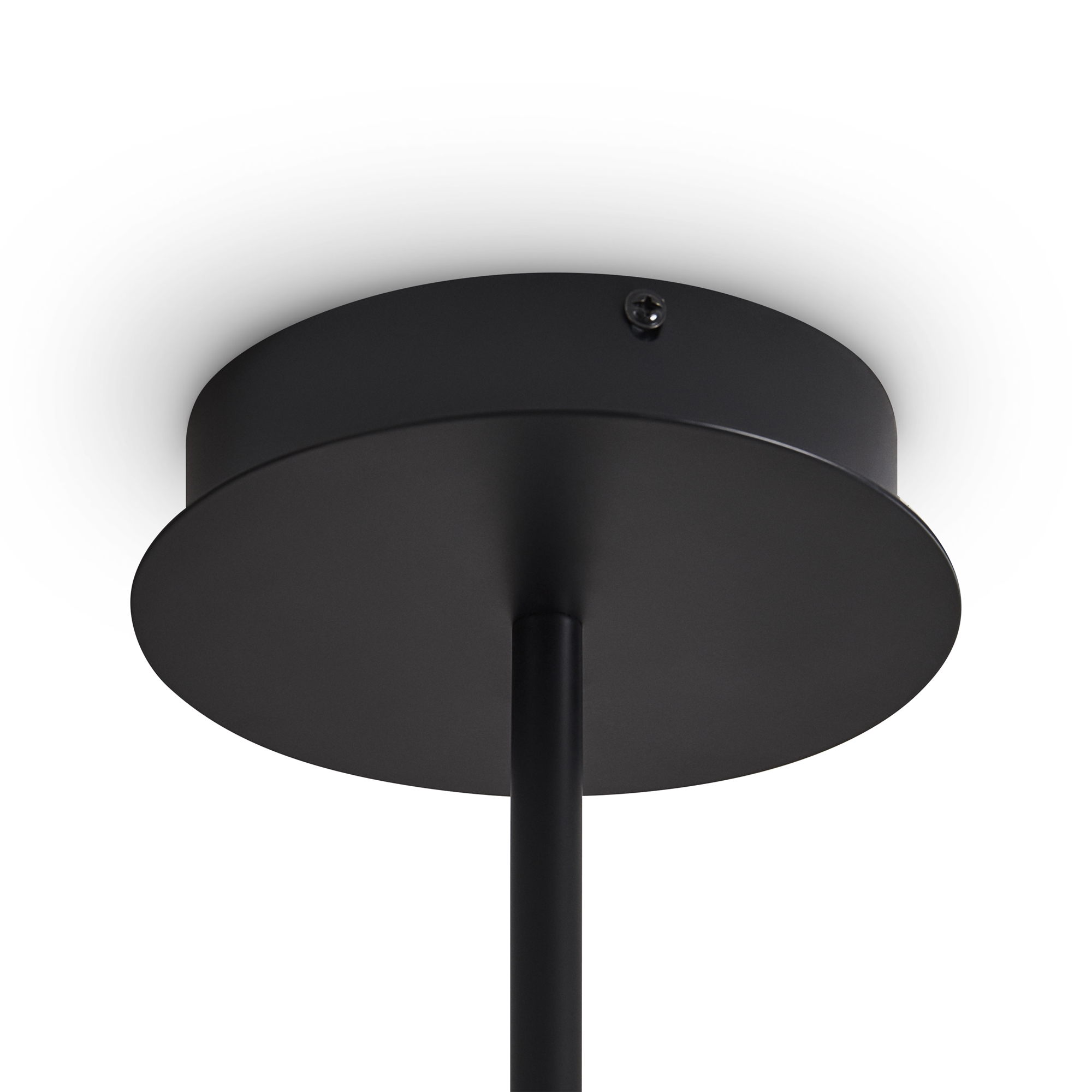 картинка Потолочный светильник Freya FR5541CL-L30B