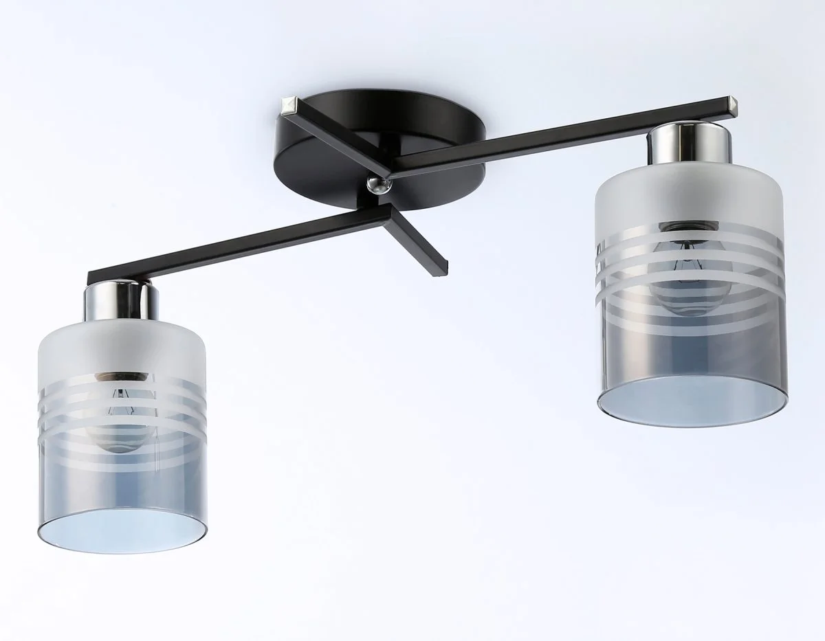 картинка Потолочный светильник