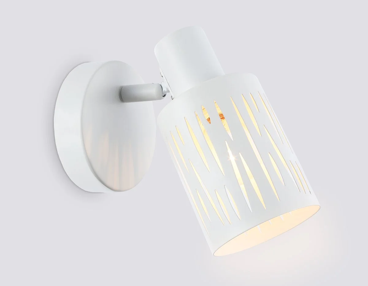 картинка Настенно-потолочный спот в стиле лофт TR8663