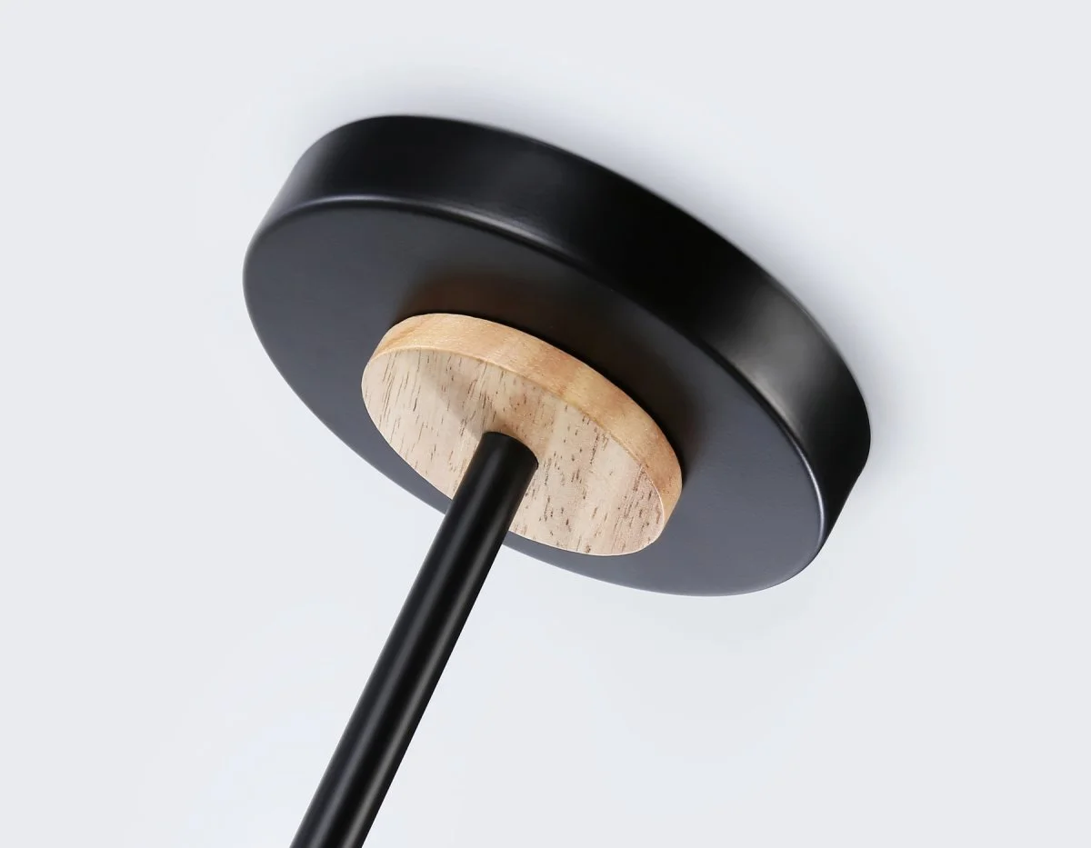 картинка Подвесной светильник со сменной лампой TR8244