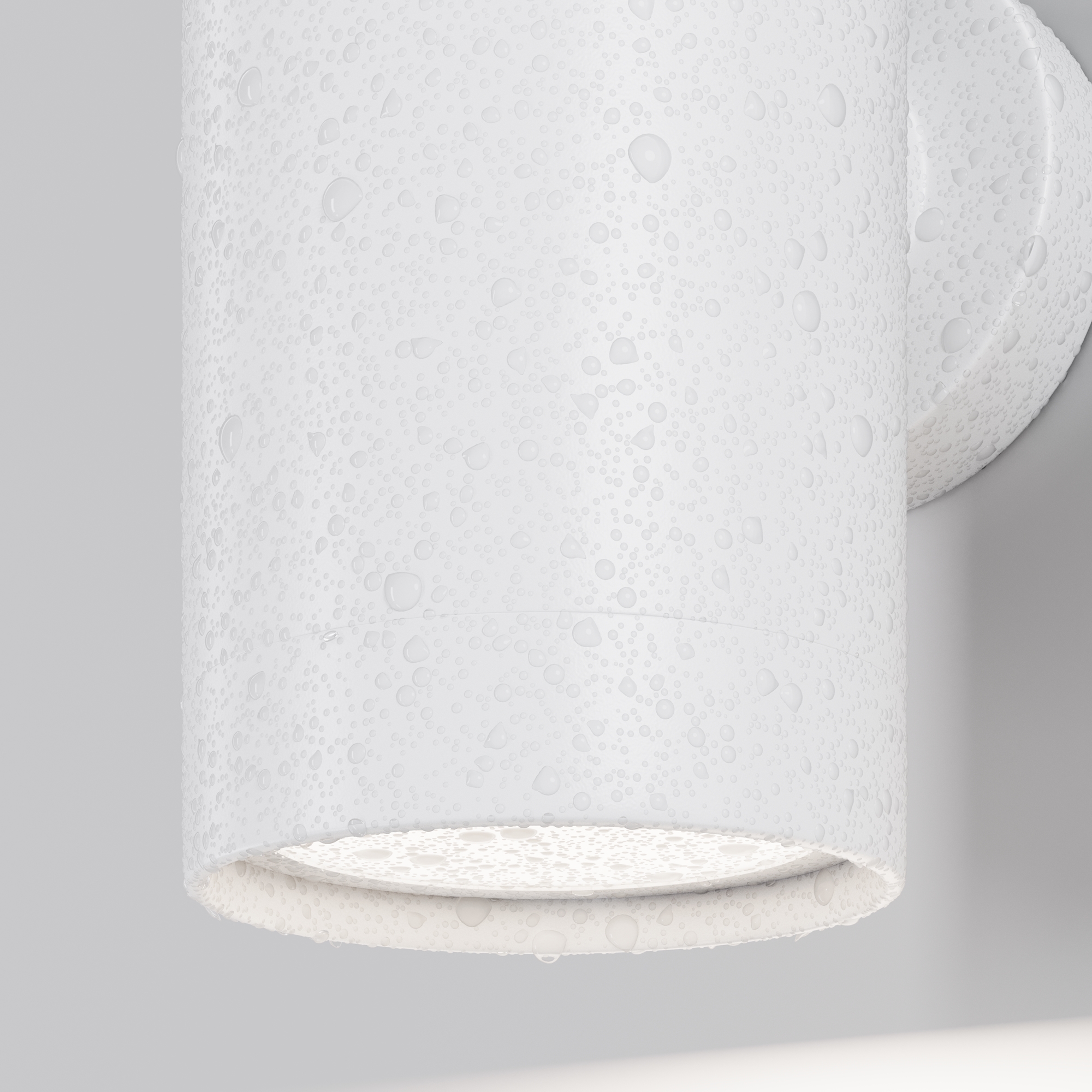 картинка Настенный светильник (бра) Outdoor O493WL-01W