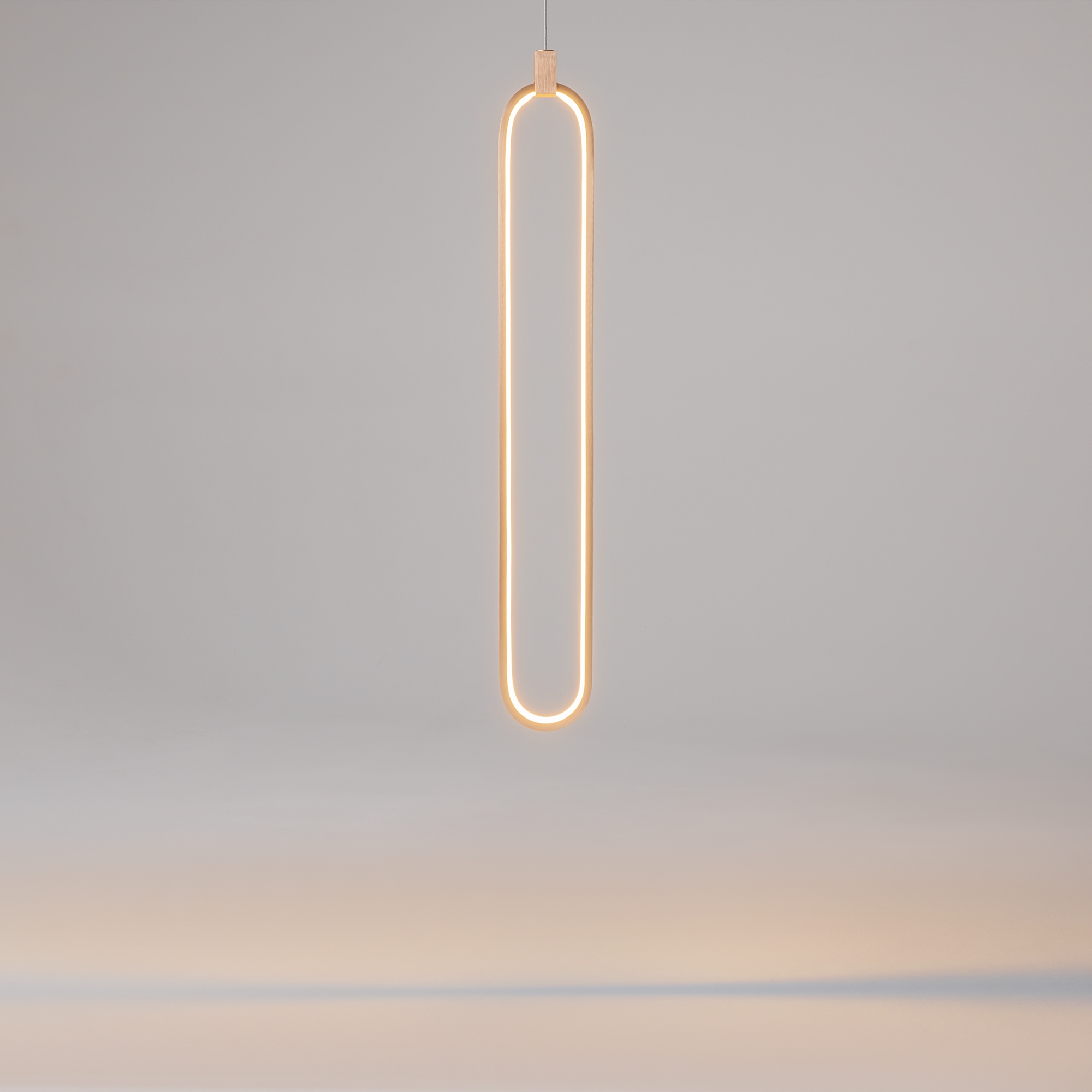 картинка Подвесной светильник Maytoni MOD017PL-L13G