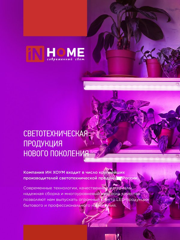 картинка Светильник светодиодный СПБ-110 STD-ФИТО красно-синий спектр 40Вт 1200мм IP40 IN HOME